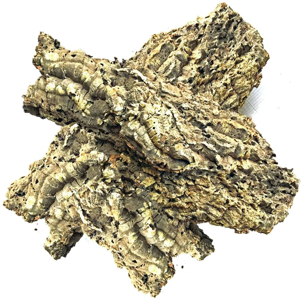 The Bio Dude Virgin Cork - 1 libra (2-3 piezas), anfibios, reptiles, orquídeas, bromelias y terrarios