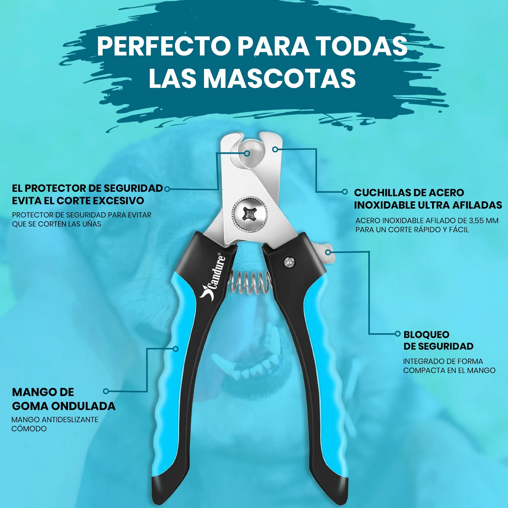 Candure Cortauñas para Perro y Gato con Mascota Protector de Seguridad - Acero Inoxidable Alicates Uñas Profesionales para Mascotas Perros, Gatos, Conejas y Veterinaria Utilizar 6" Pulgadas