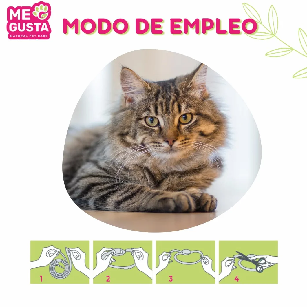 ME GUSTA Collar Repelente para Gatos con 3 Activos Naturales Margosa, Geraniol Y Lavandino | Repele Todo Tipo de Insectos | Fragancia Cítrica | Estuche | 30 cm