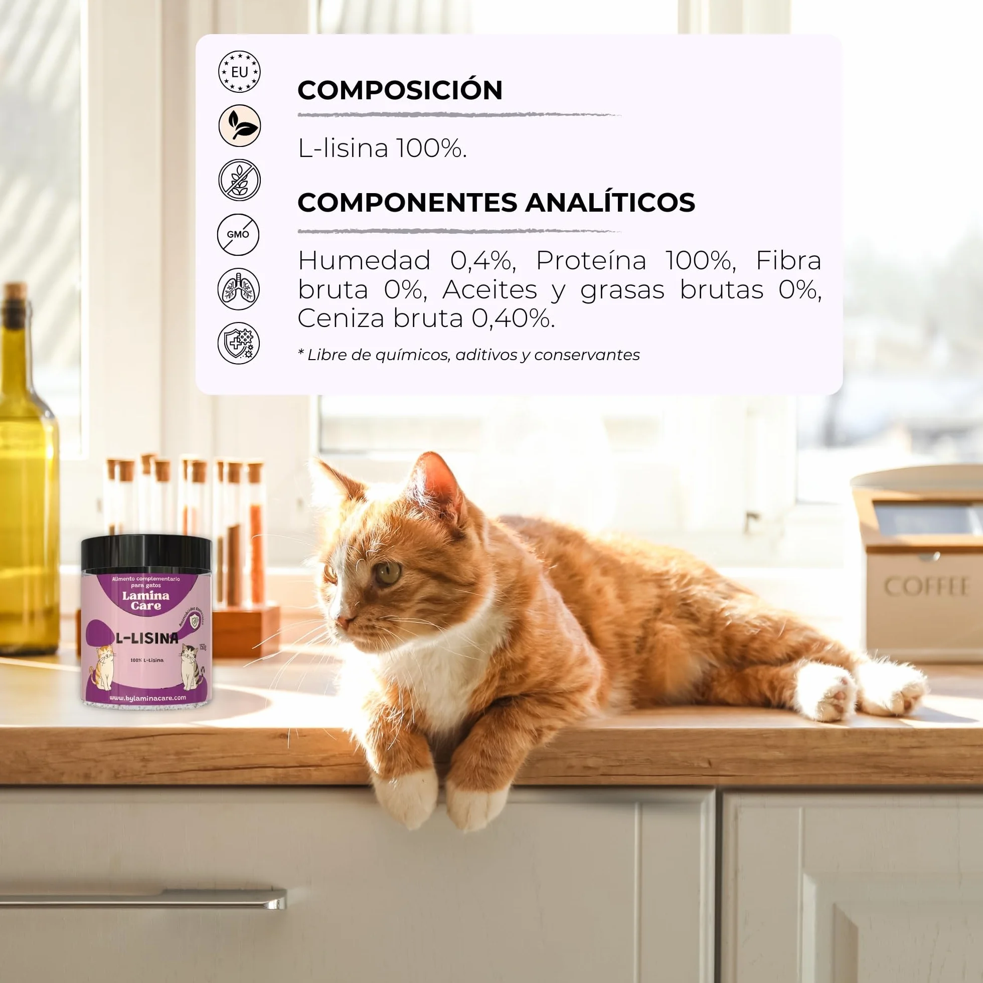 Lisina Gatos con Aminoácidos Esenciales para Reforzar el Sistema Inmunitario, Apoyar Las Vías Respiratorias y Prevenir el Herpes Felino, Suplemento Natural para Todas Las Razas y Edades