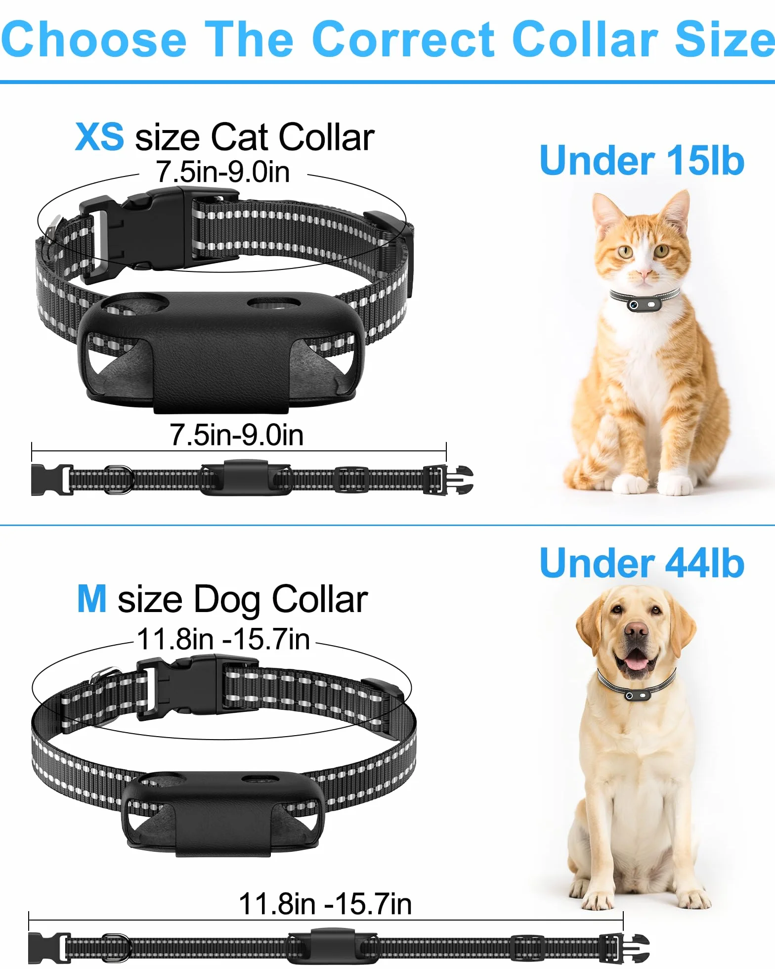 Collar de cámara para perros y gatos con aplicación para teléfono, grabación de video HD 1080P, cámara POV para mascotas tamaño XS/M para perros y gatos grandes, cámaras inalámbricas para mascotas con