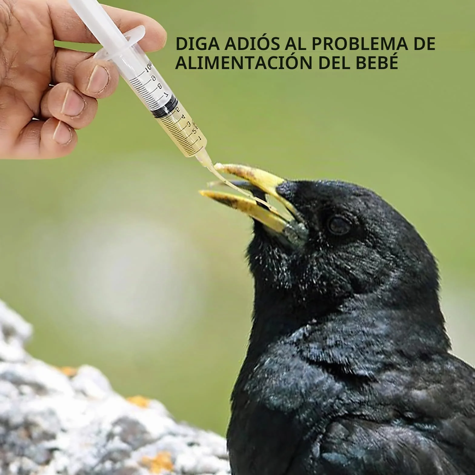 Jeringas de 10ml con 10 unidades de tubo, Set de alimentador para aves jóvenes, Jeringa con tubo, Accesorios para palomas, Disposición de pájaros bebé loros, Herramienta de alimentación manual, Para