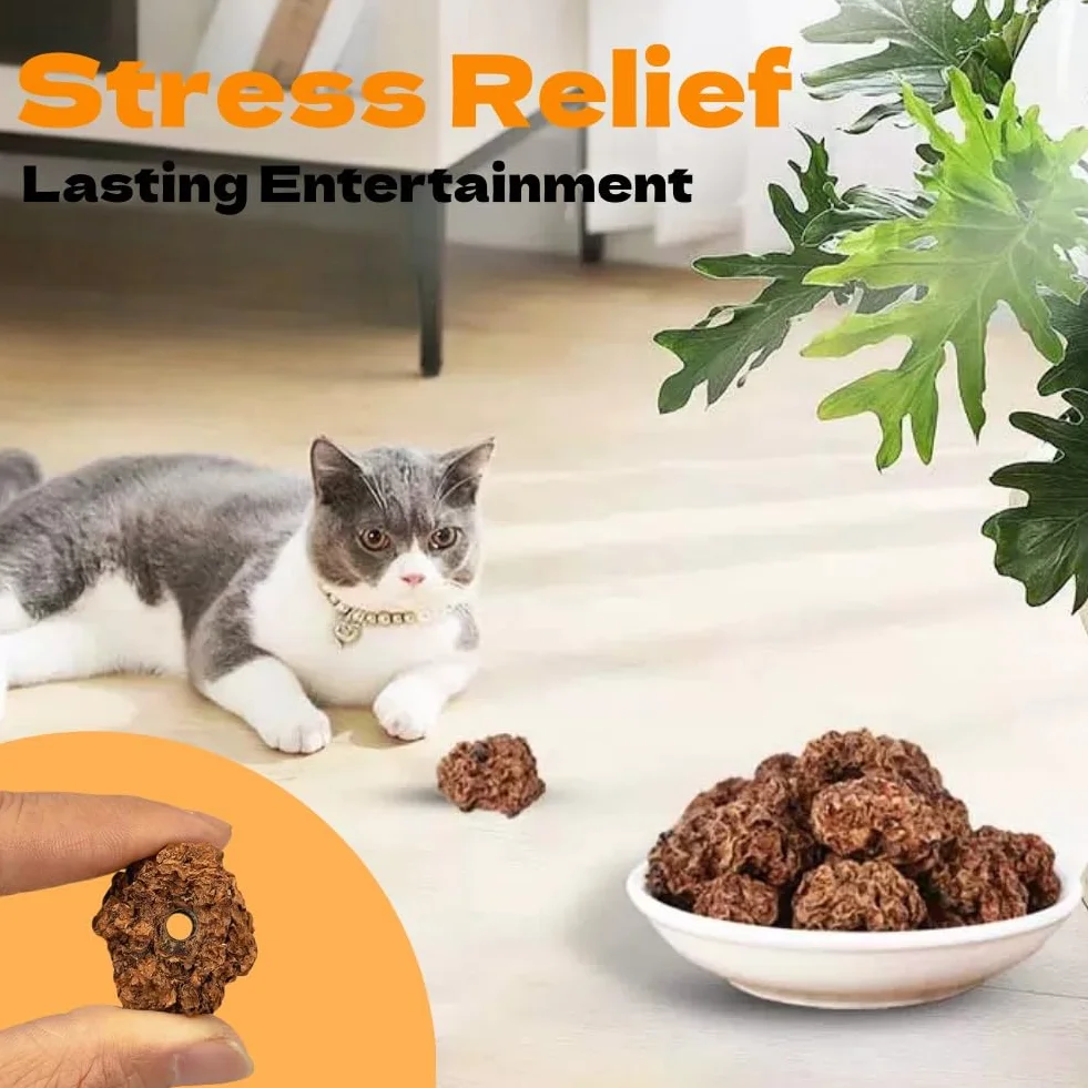 Frutas Matatabi,20pcs Juguetes para Gatos para Limpieza de Dentición,Cat Teething Toys,Snack Gatera para Limpiar Dientes