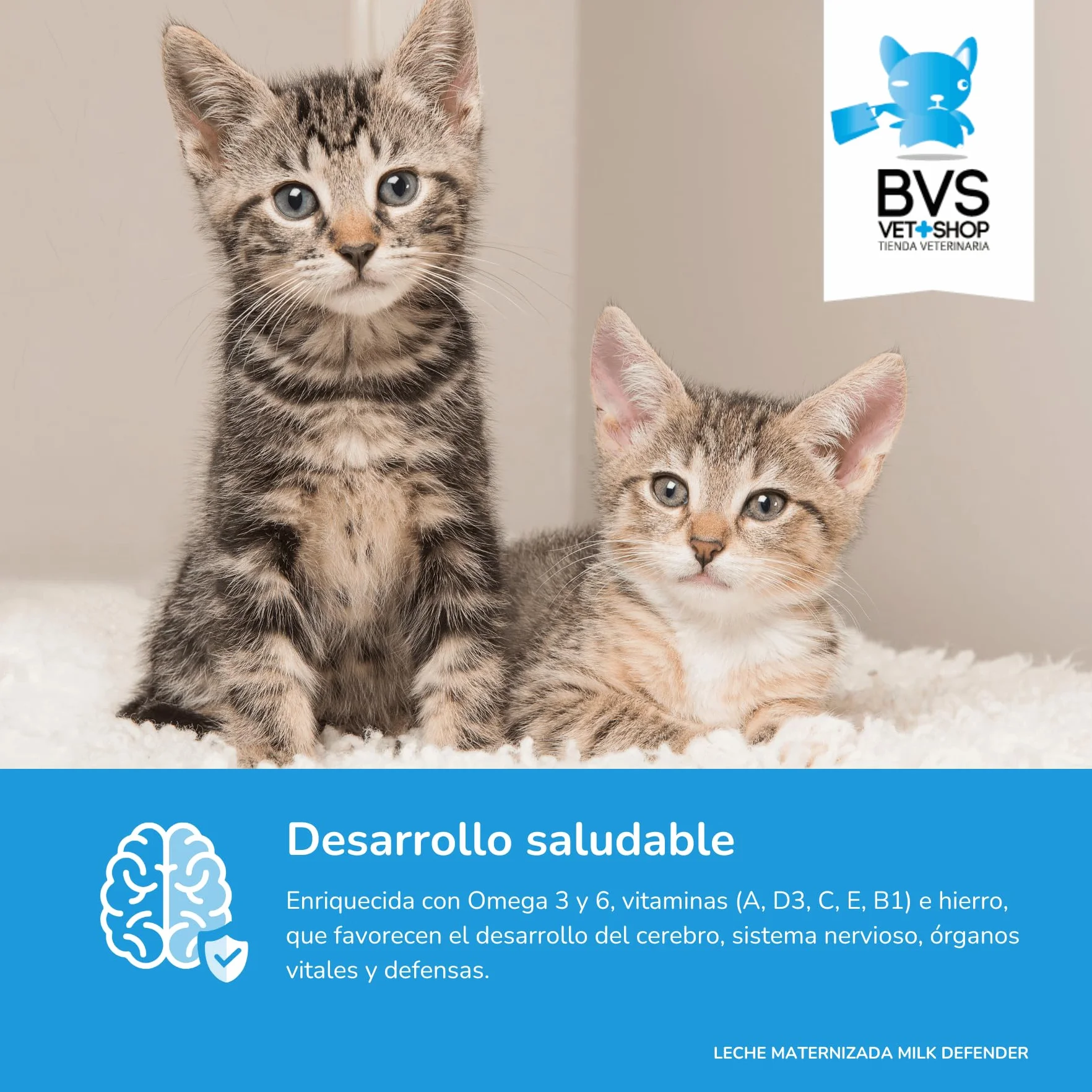 BVS Vet Shop | Leche Maternizada para Gatos Milk Defender | Alimento Completo de Lactancia para el Cuidado Integral de Gatos Cachorros | 1 unid. x 140 gr