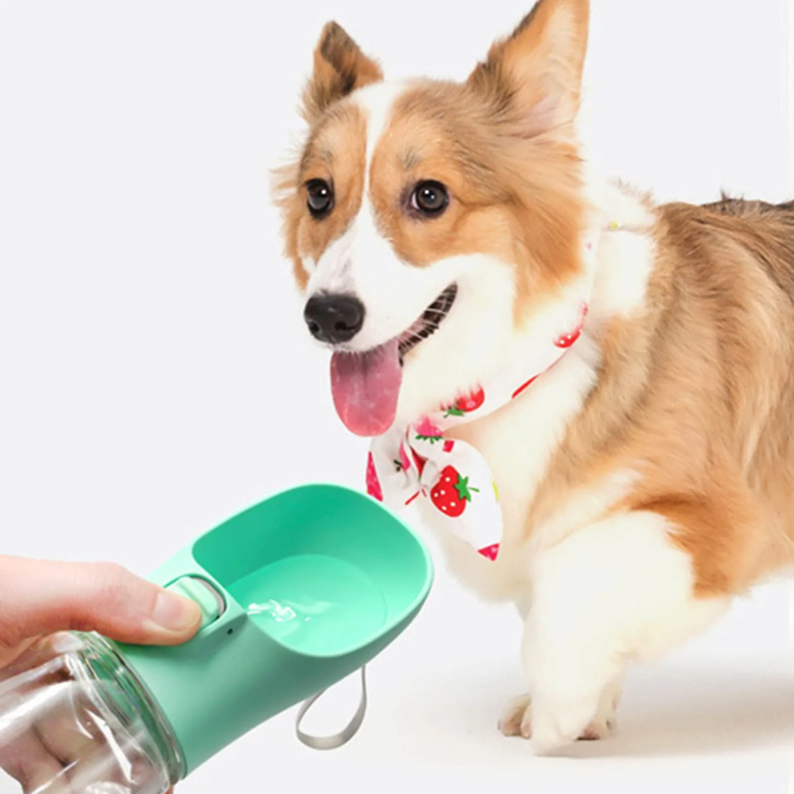 Frasheng Botella para Perros,550ml dispensador de Agua Antibacteriano,Bebedero Perro Portatil,a Prueba de Fugas,Libre de BPA,Dispensador de Agua Antibacteriano para Mascotas para Viajes al Aire Libre
