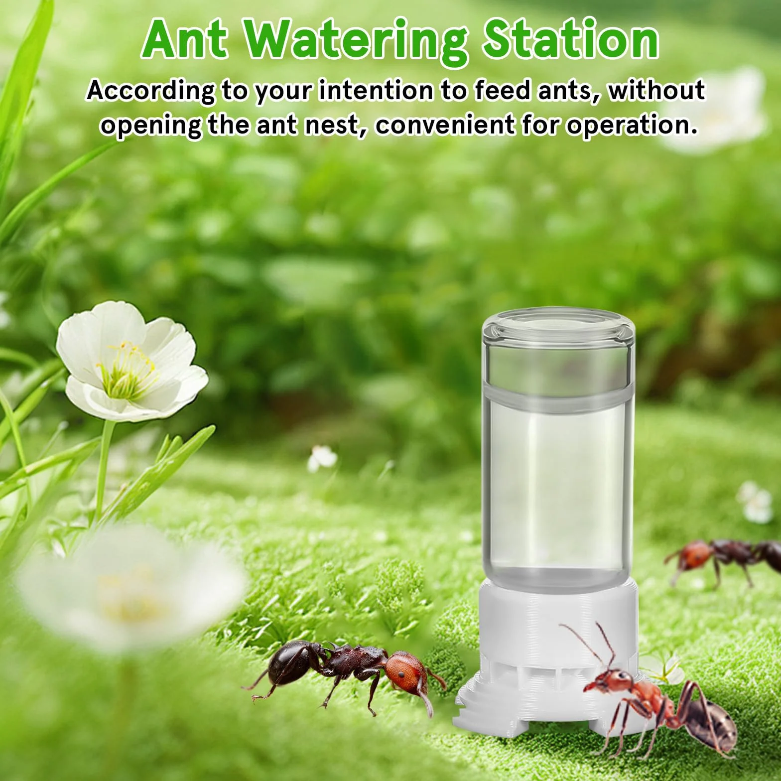 HEMOTON Bebedero para Hormigas 2 Piezas 5 Ml Plástico y Acrílico Transparente Taza Pequeña para Nido Comedero Agua Portátil para Cuidado y Alimentación de Colonias en Terrarios