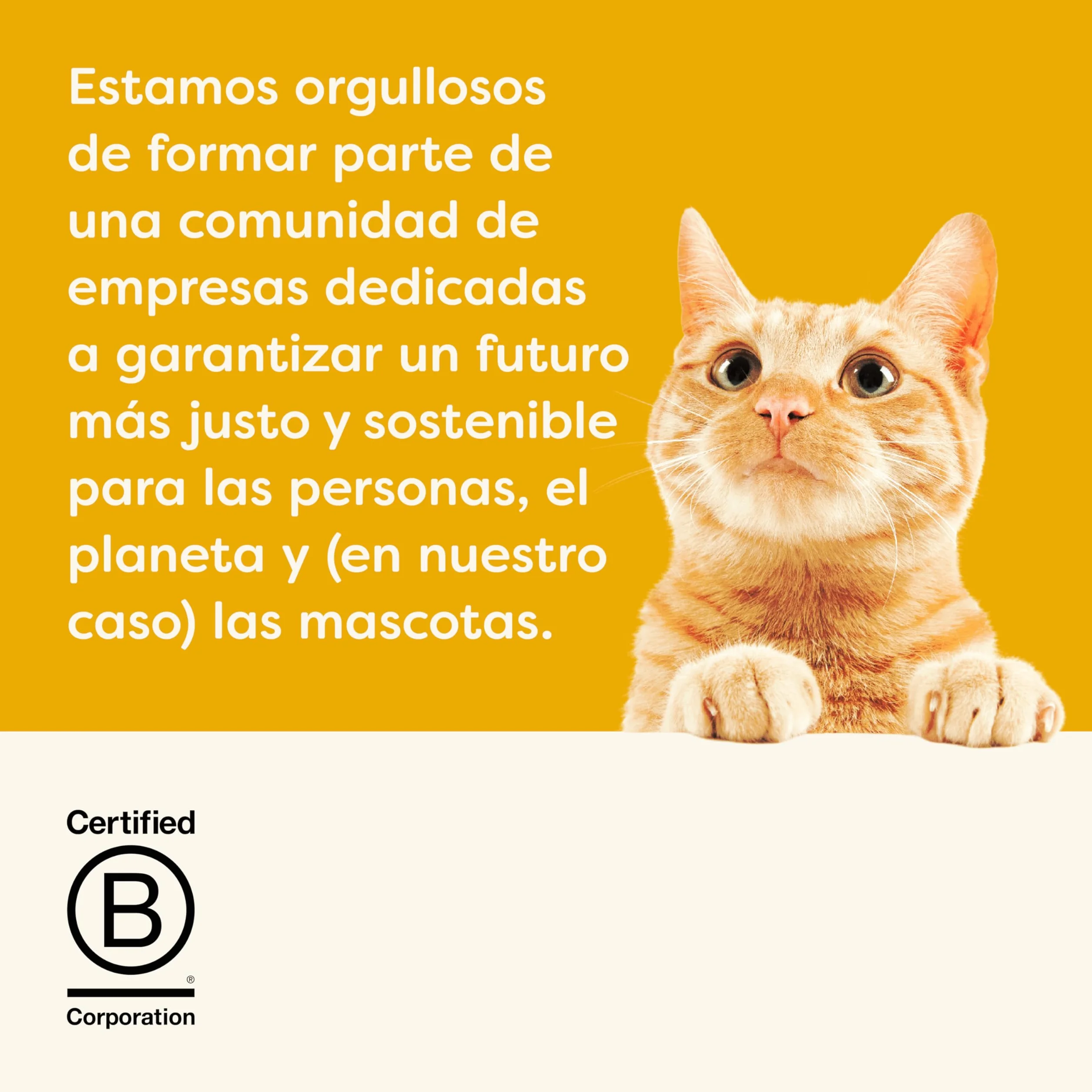 Applaws Alimento Seco Natural sin Granos para Gatos Adultos, Sabor a Pollo - Bolsa Resellable de 2 kg (Verpackung kann variieren)