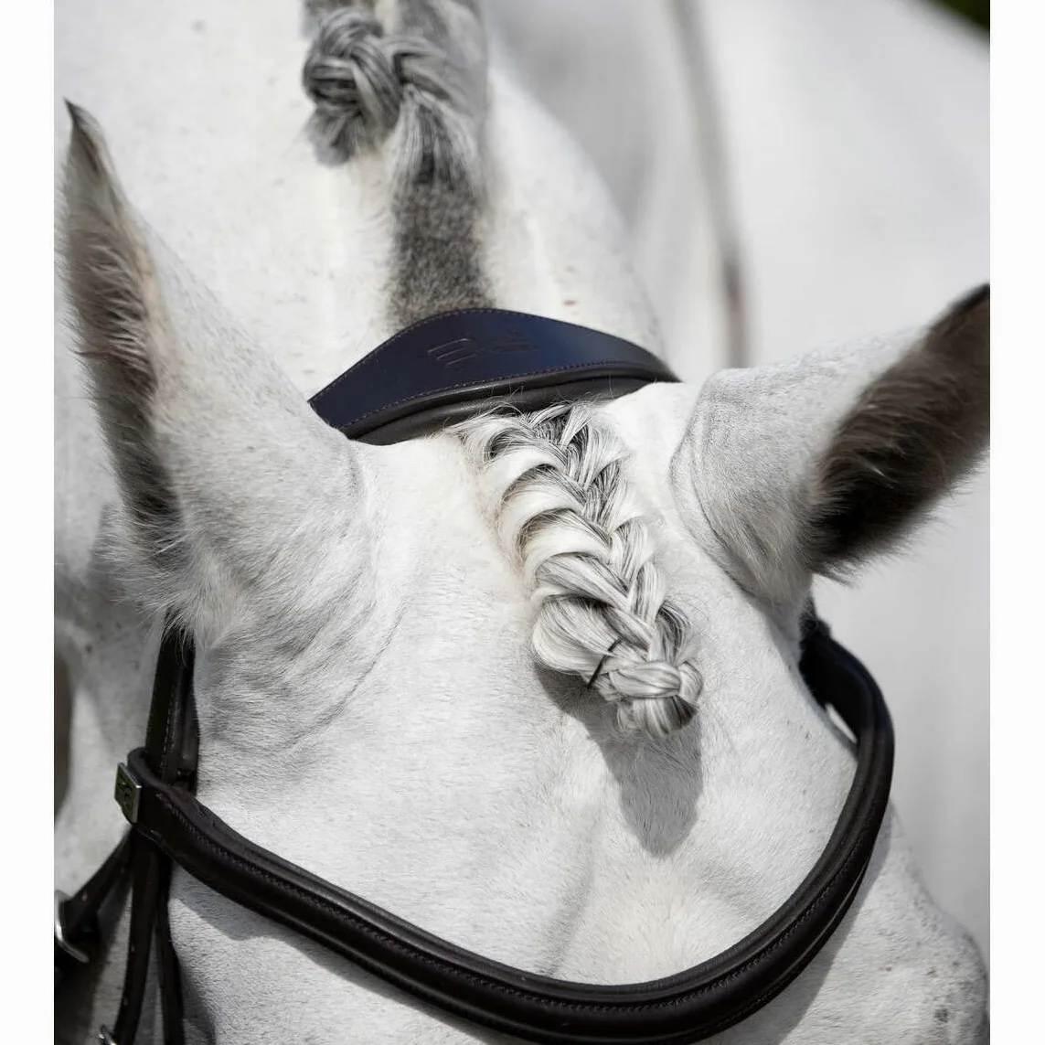 Premier Equine Verdura Anatomic Snaffle Bridle, color negro extra completo