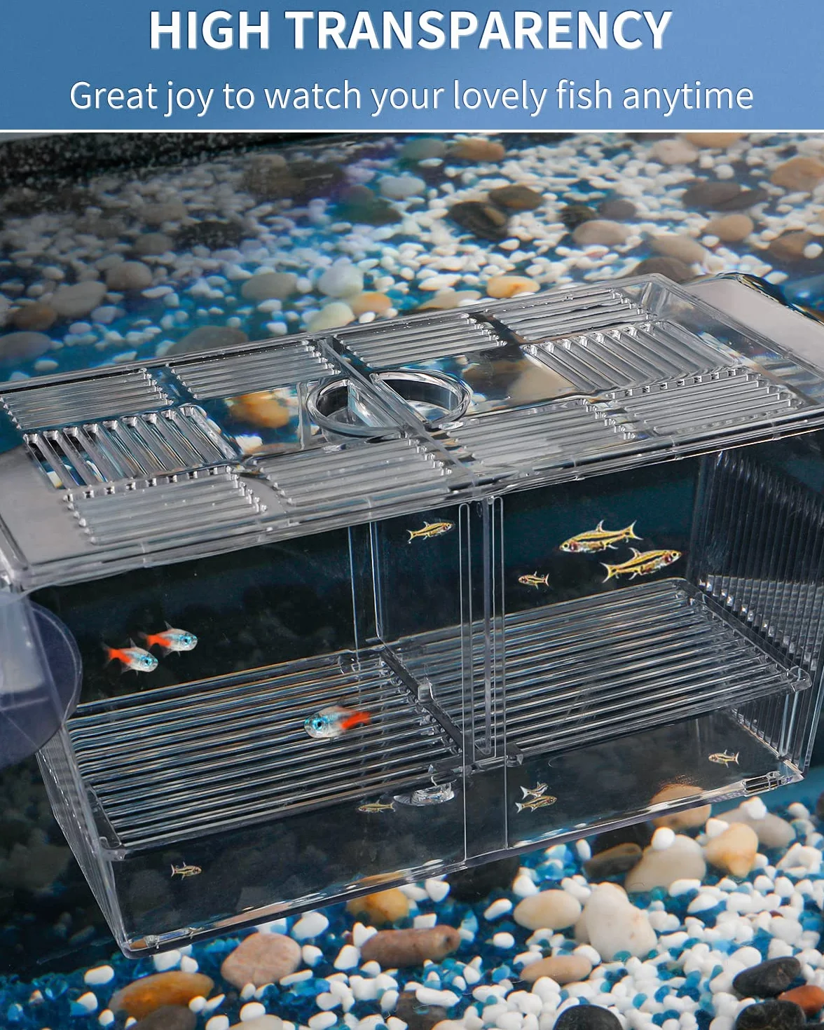 Pawfly Caja de Cría para Peces de Acuario Acrílico Incubadora Tanque con Ventosas Caja de Aislamiento Grande para Peces Bebé Camarón Betta Guppy y Platy