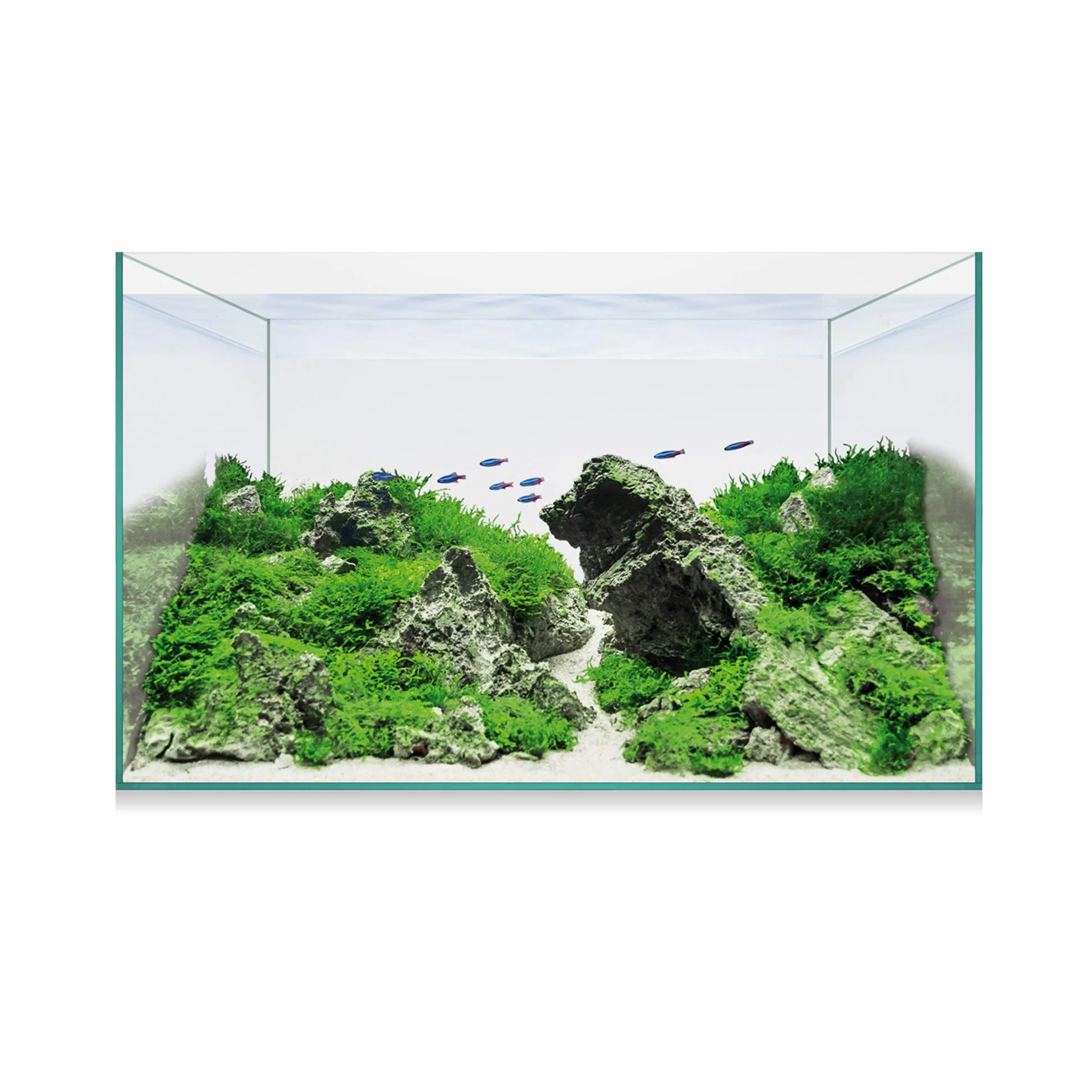 ICA Kit Aquascape Basic 14 12.7 ml