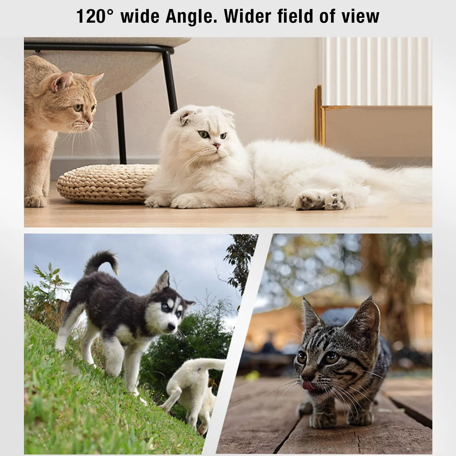 Diyeeni Collar de Cámara para Gatos, Cámara de Collar para Perros HD 1080P, Lente Gran Angular de 120°, Mini Cámara de Acción para Perros, Gatos Presentes en Interiores y Exteriores,