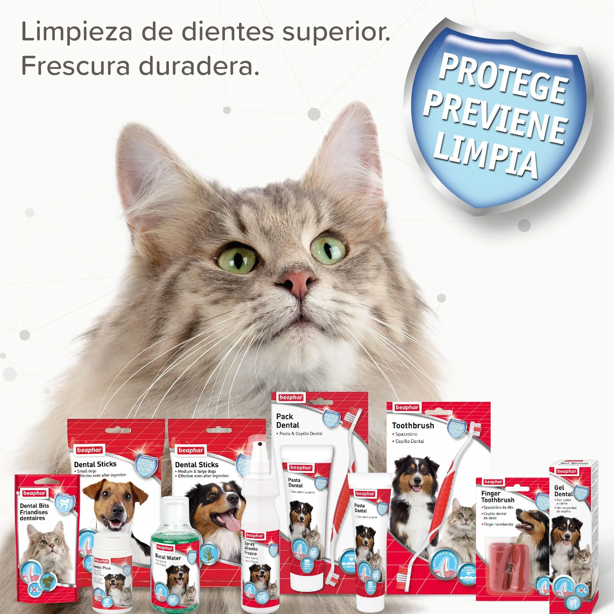 Beaphar - Snacks Dentales para Gato, Anti Placa y Anticarro, Clorofila Natural, 35 g