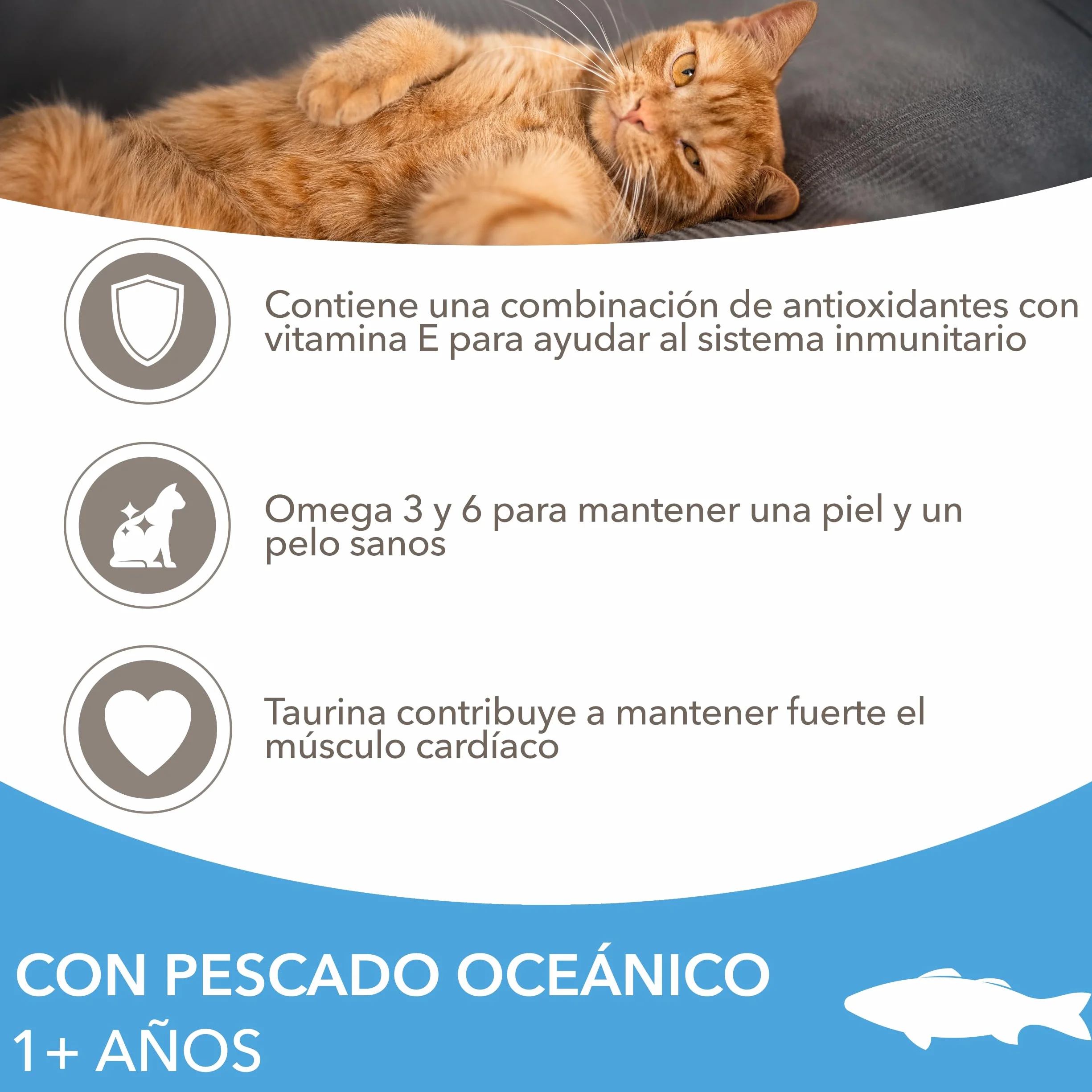 IAMS Alimento seco para Gatos con Pescado oceánico, Comida Seca para Gatos Adultos de más de 1 año, 3 kg