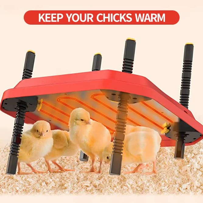 Lámpara de Calor para Pollitos, Calentador, Caja criadora de Aves de Corral, lámpara de Calor para Pollitos, termostato (12" x 12"), 20 Pollitos