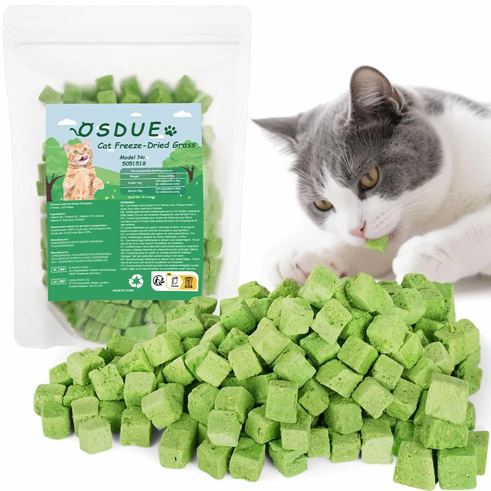 OSDUE Golosina de Hierba Gatera para Gatos, 100g Snack Liofilizado con Hierba Gatera para Limpiar los Dientes, Palillo Masticable para Gatos Favorecer Digestión y Absorción, Cat Grass Teething Stick
