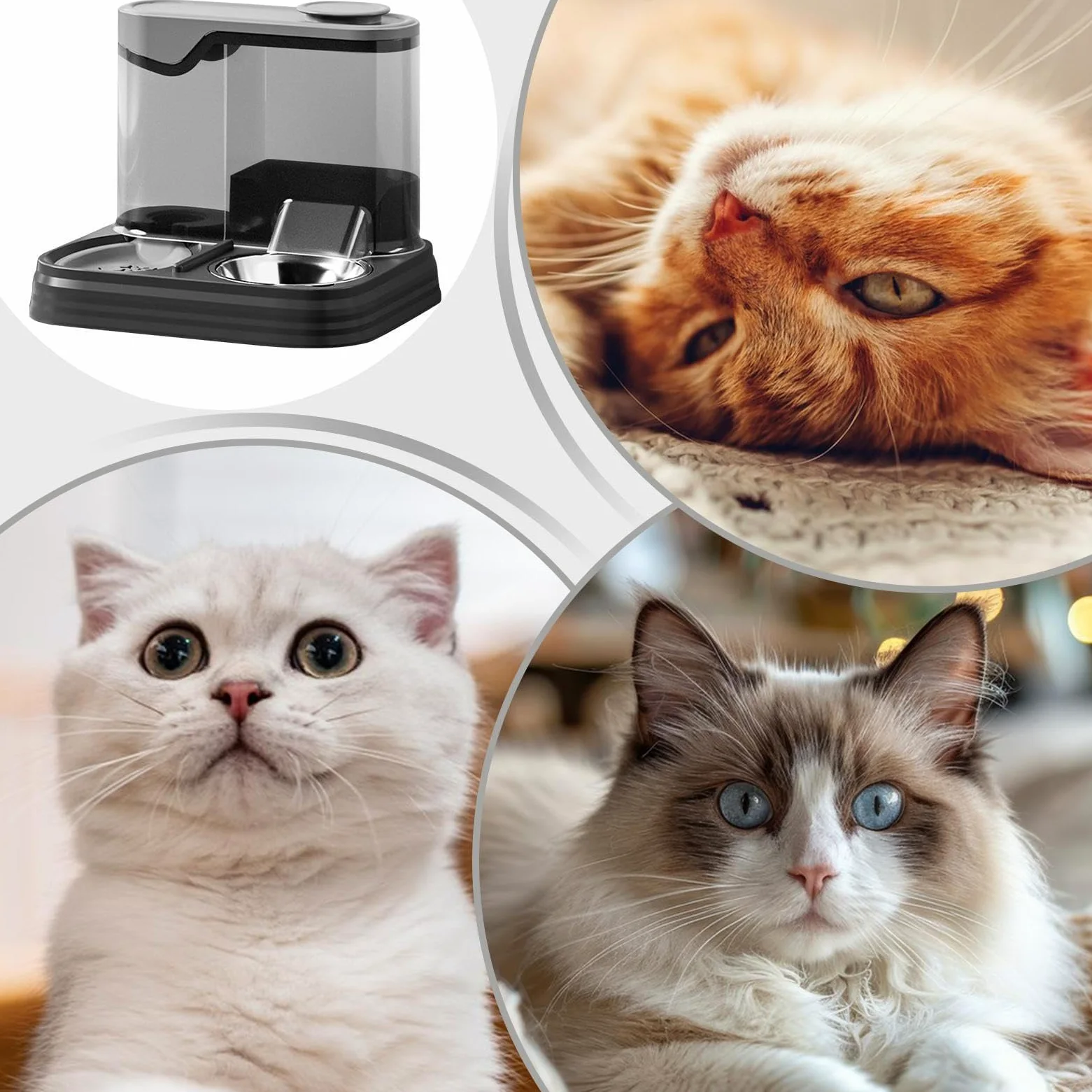 Comedero automático para Gatos， Comedero automático for Gatos y Perros | Bebedero for Mascotas, Ideal for Uso doméstico en Interiores Vacaciones(Black)