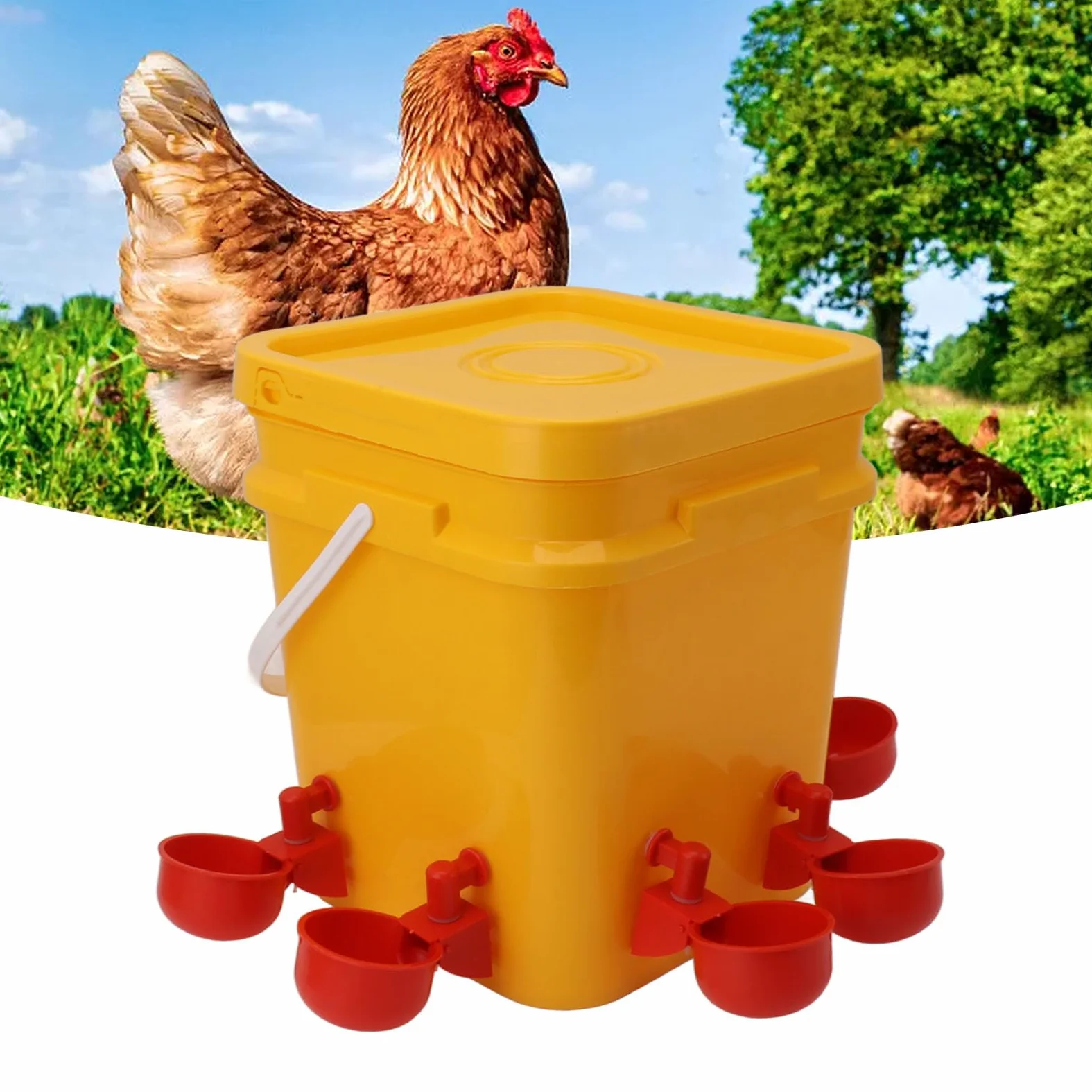 Bebedero Automático para Pollos, Equipo para Beber, Bebedero para Aves de Corral, Ganso, Pato, Barril, Taza para Cría de Pollos, Bebederos (Cubo + Tazón Azul Grande + Tornillos