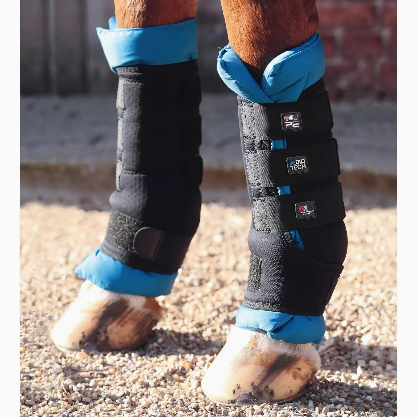 Premier Equine Polainas magnéticas para caballos Magni-Teque