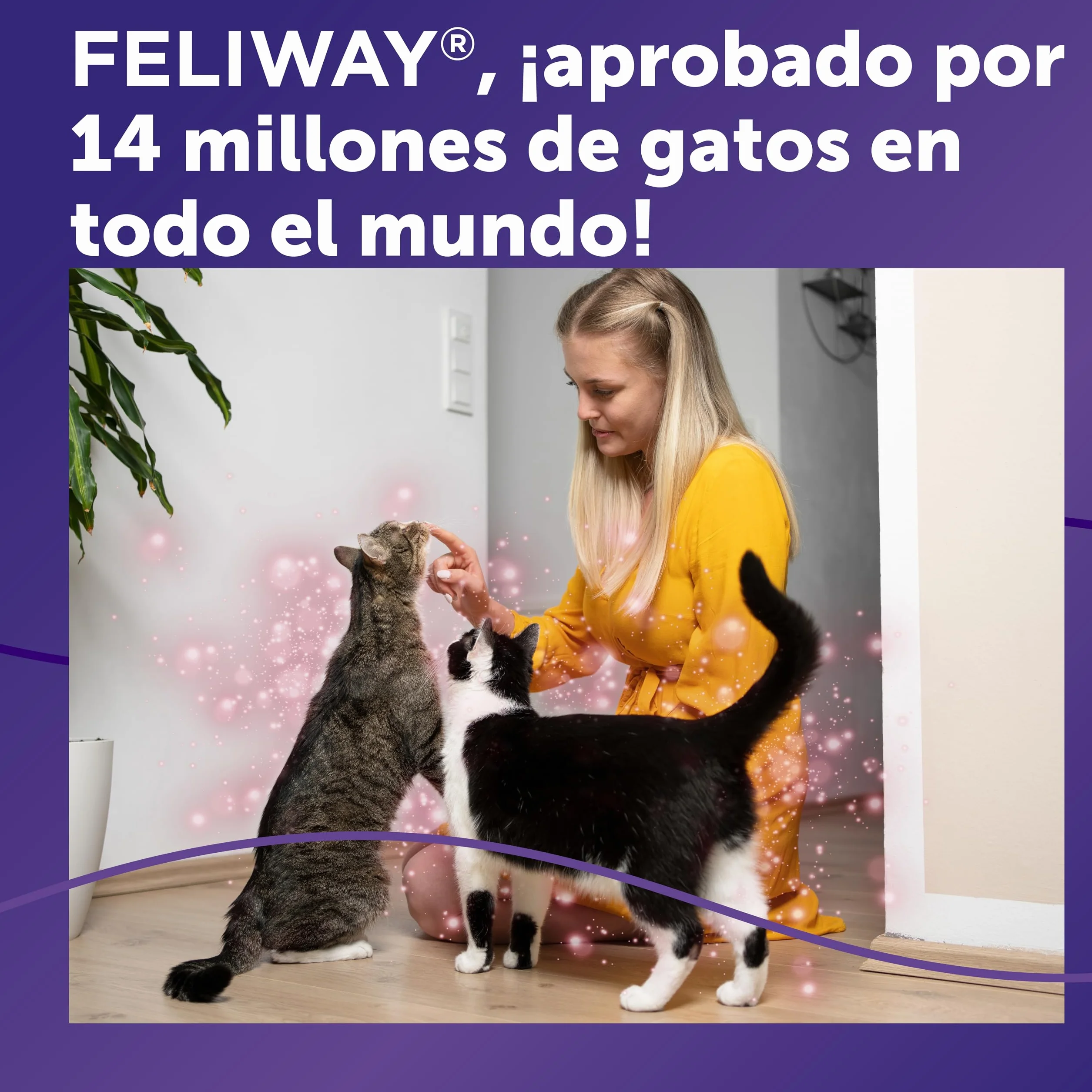 FELIWAY Friends - Pack Ahorro 3 recambios para 90 días (3x48ml) - Ayuda a crear armonía y a reducir conflictos entre gatos que viven juntos. Recomendado por veterinarios. Mejora la convivencia.