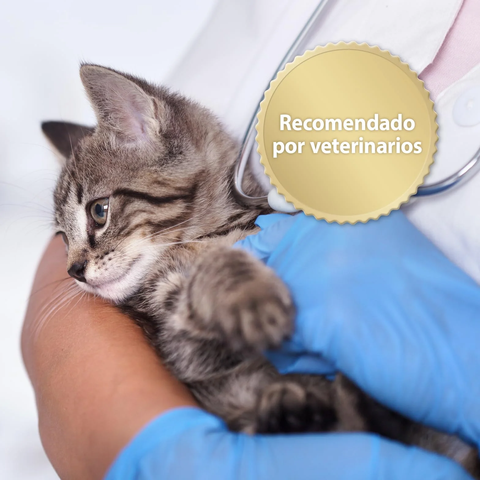 Felisept Home Comfort Spray antiarañazos gatos 100ml - Con Hierba Gatera Natural sin Feromonas para gatos - Reduce El Comportamiento Indeseable, El Estrés Y La Inquietud En Casa Y En Movimiento