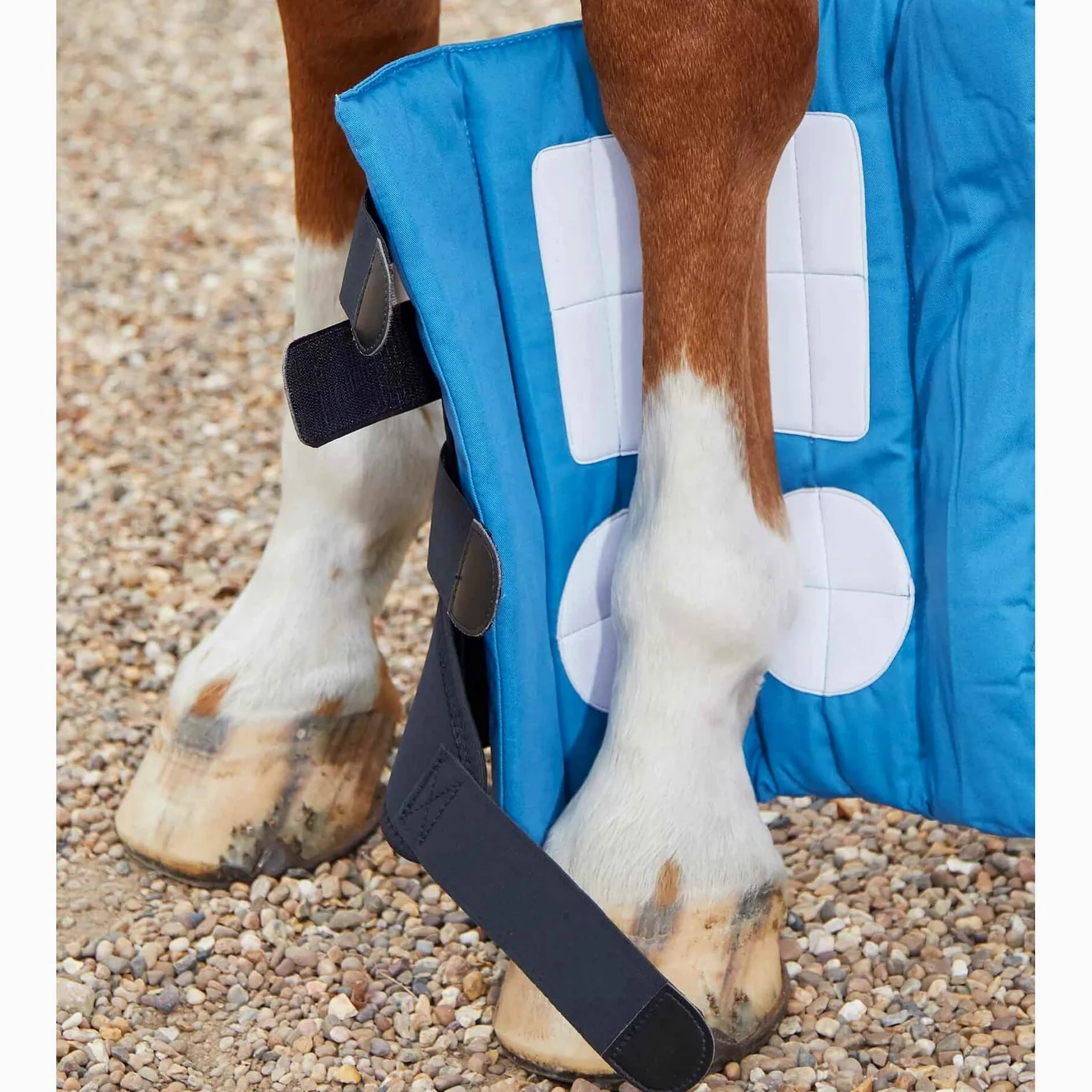 Premier Equine Polainas magnéticas para caballos Magni-Teque