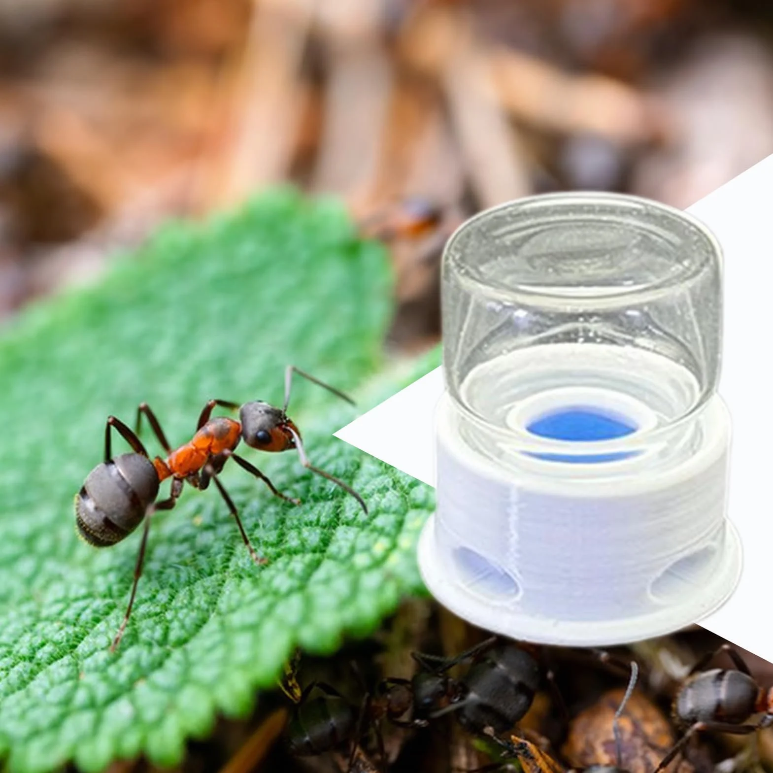 Dispensador de Agua para Hormigas | Bebedero para Grillos - Bebedero Antifugas Transparente para Granja, Hogar, Exteriores, Hormigas, Abejas