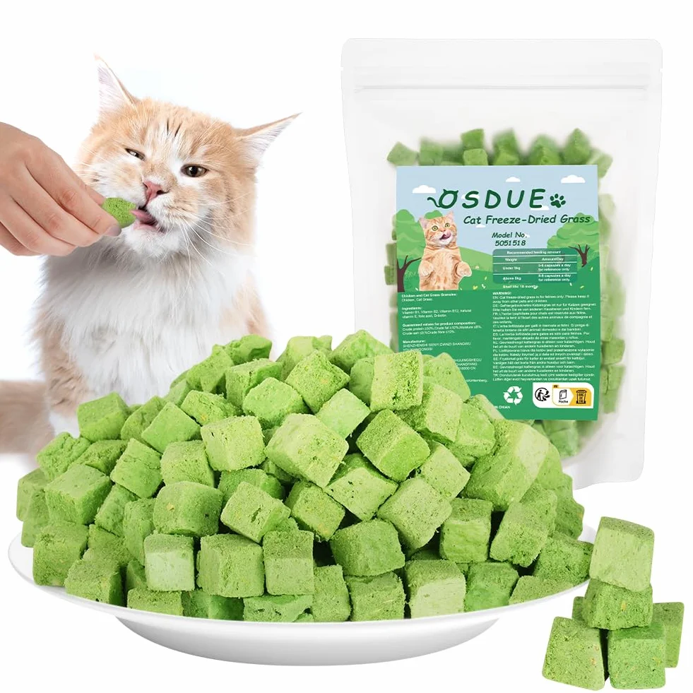 OSDUE Golosina de Hierba Gatera para Gatos, 100g Snack Liofilizado con Hierba Gatera para Limpiar los Dientes, Palillo Masticable para Gatos Favorecer Digestión y Absorción, Cat Grass Teething Stick