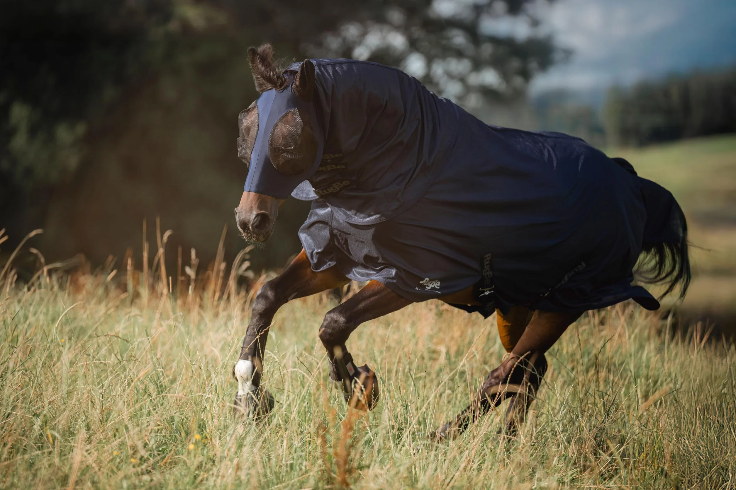 Covalliero Manta antimoscas RugBe SuperFly, manta para caballos, manta de montar, azul marino, 115 cm, 165 cm, caballo, lavable a máquina a 30 °C