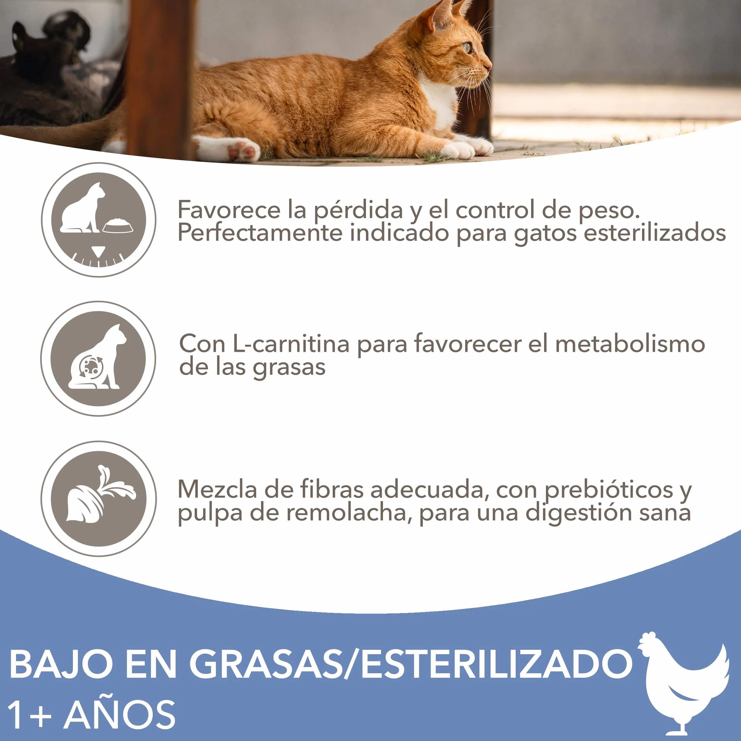 IAMS Alimento seco para gatos esterilizados - comida seca para gatos adultos de más de 1 año con pollo fresco, 3 kg