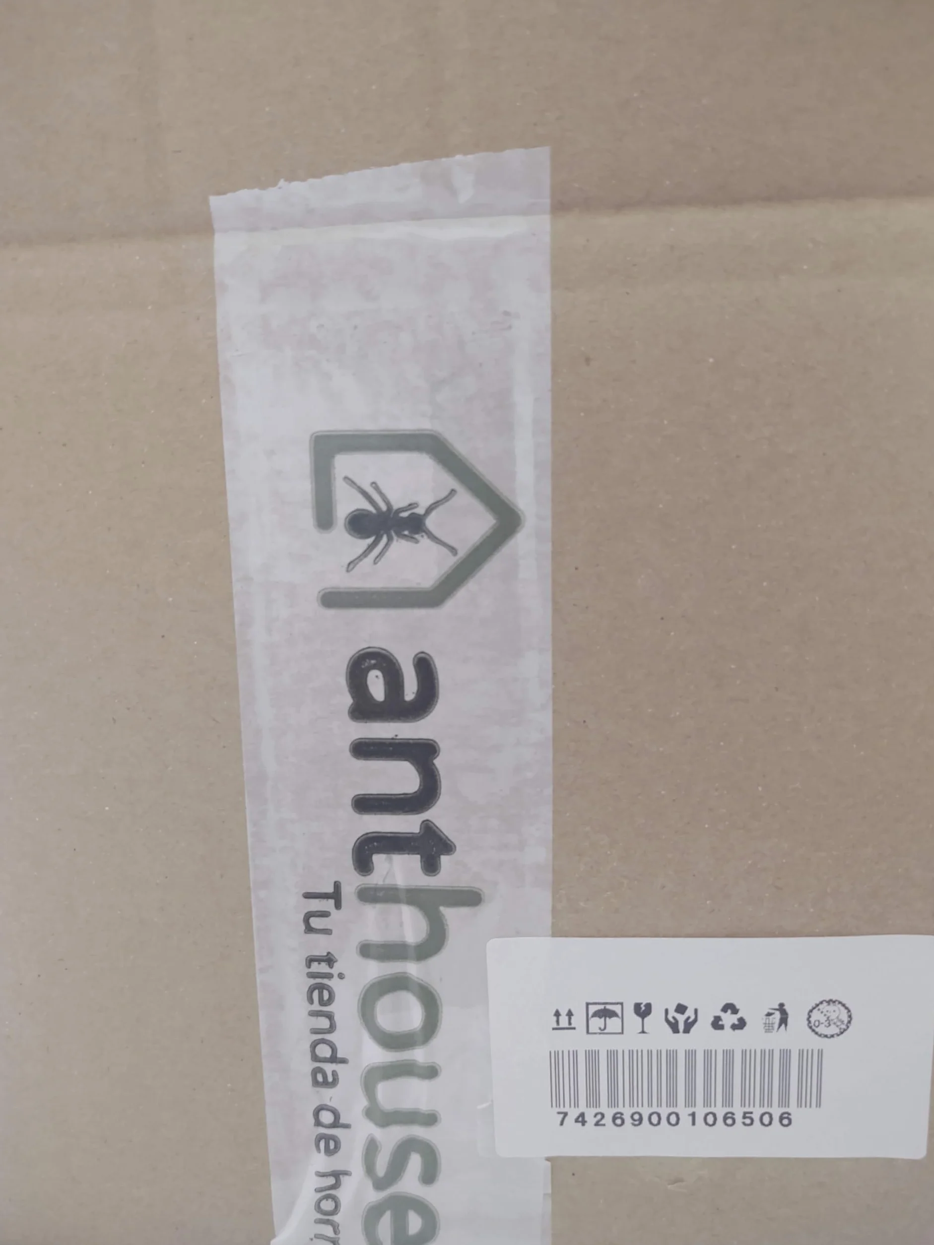 Anthouse.es - Hormiguero Natural de Arena - Kit Mini Hormiguero Acrílico (Sándwich + Caja de Forrajeo) - Granja de Hormigas con Colonia de Hormigas Incluida - 15 x 12 x 1 cm y 20 x 20 x 10 cm
