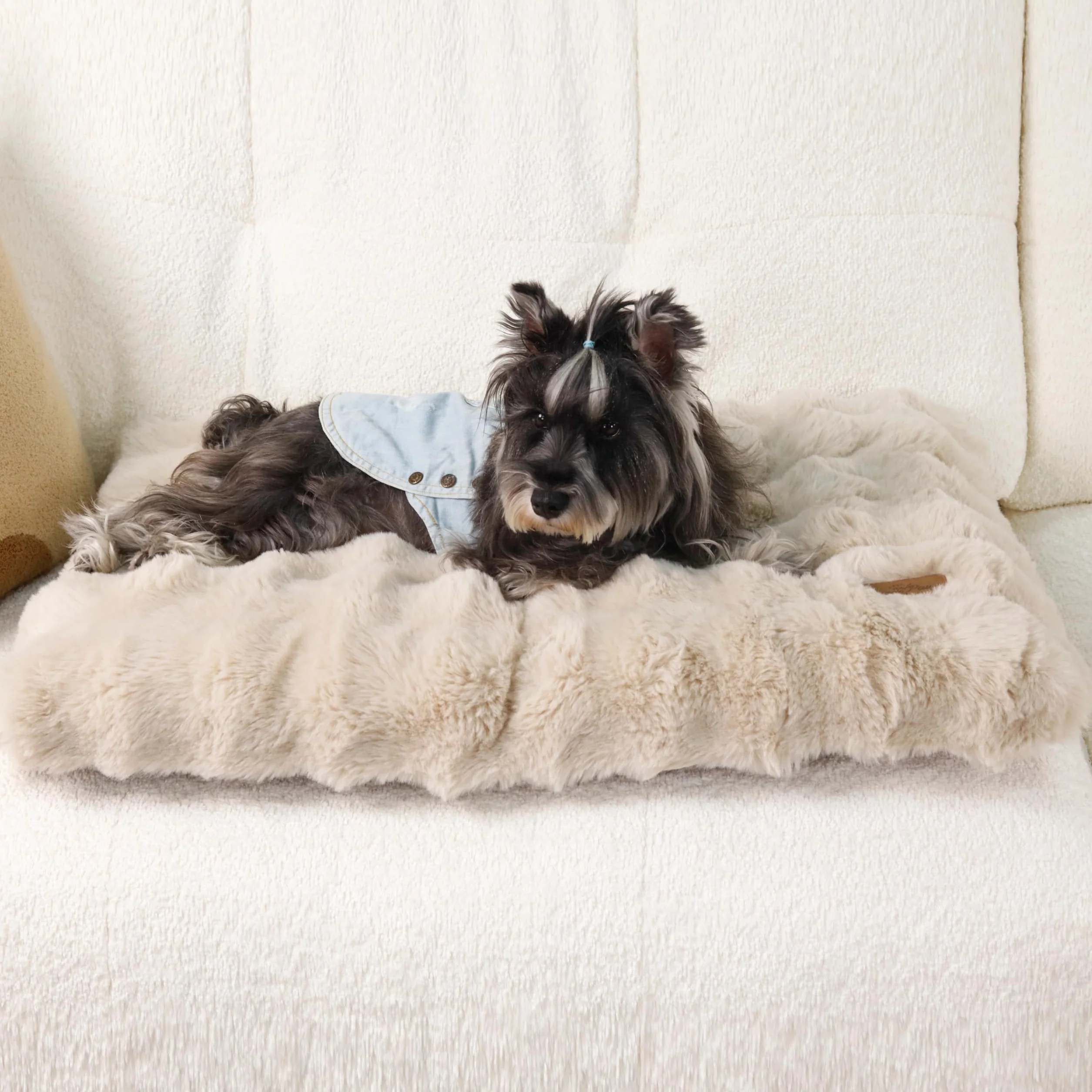 BingoPaw Cama para Perros Medianos 76x51x10cm, Cama Perro Lavable Colchón para Perro Impermeable Funda Peluda Removible y Base Antideslizante para Perros Medianos, Beige