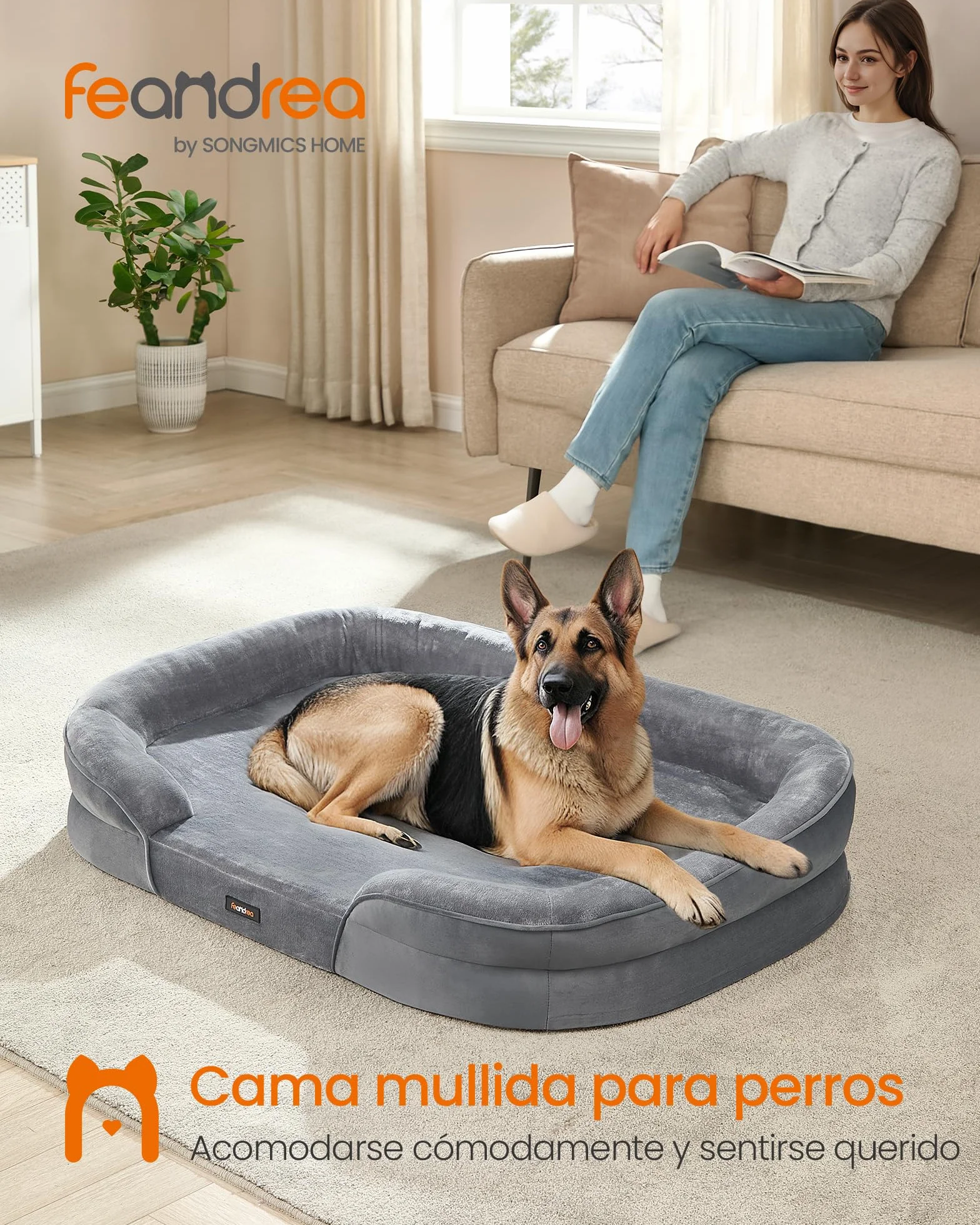 Feandrea Cama para Perros Extra Grandes, 122 x 85 x 18 cm, Ortopédica, Espuma de Nido de Abeja, Forro Repelente al Agua, Bordes Elevados, Funda Extraíble y Lavable, Gris Claro PGW284G01