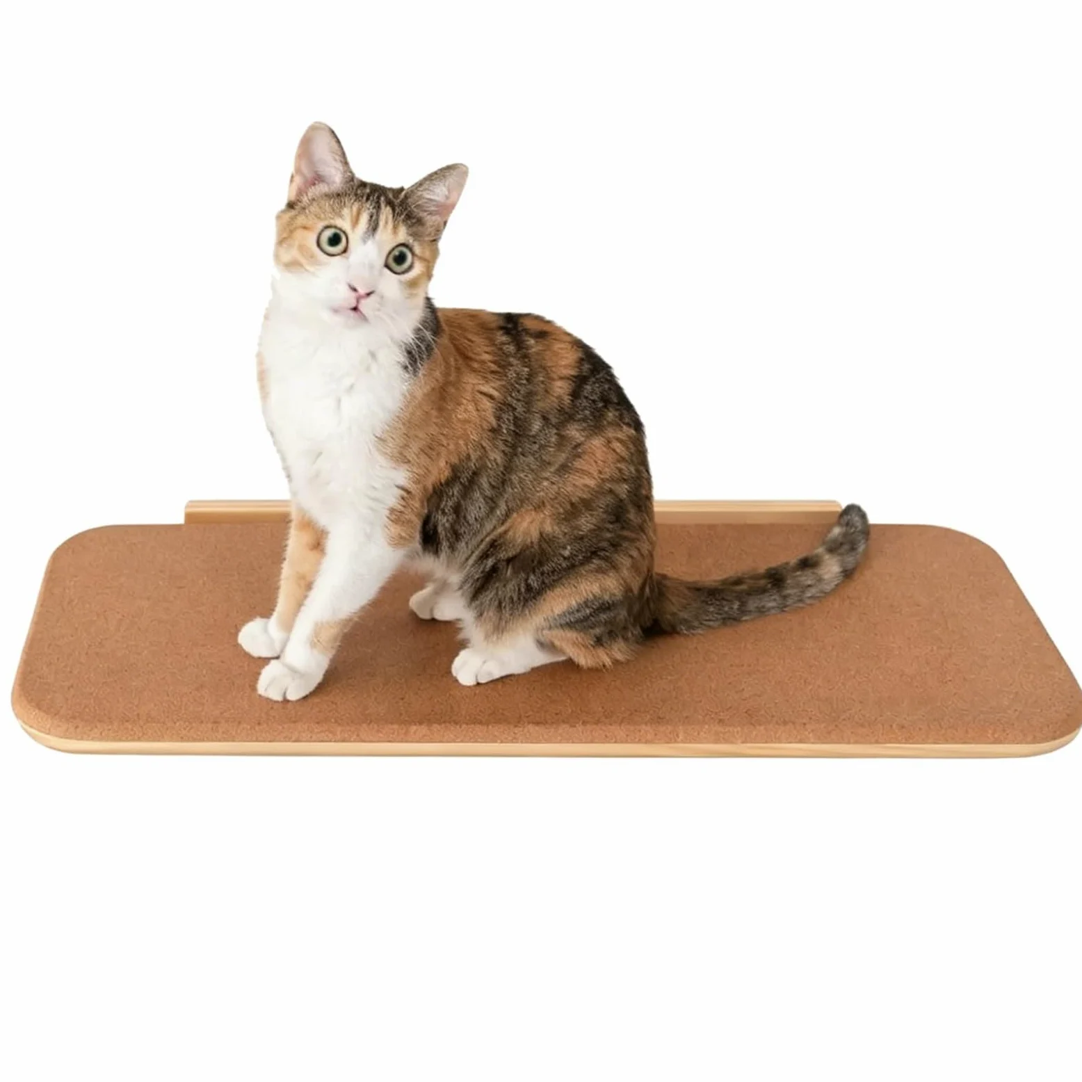 Estantes de Pared para Gatos, Percha de Pared de Madera de Pino de 65 cm, con Capacidad de Peso de 20 Kg para Dormir Y Jugar
