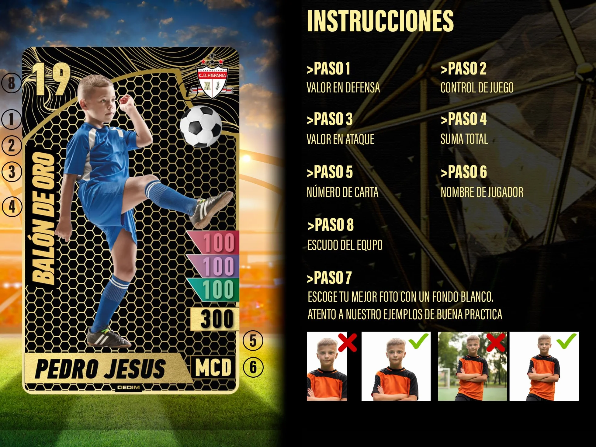 Balon de Oro Cromo Futbol Personalizado Varios Medidas Materiales