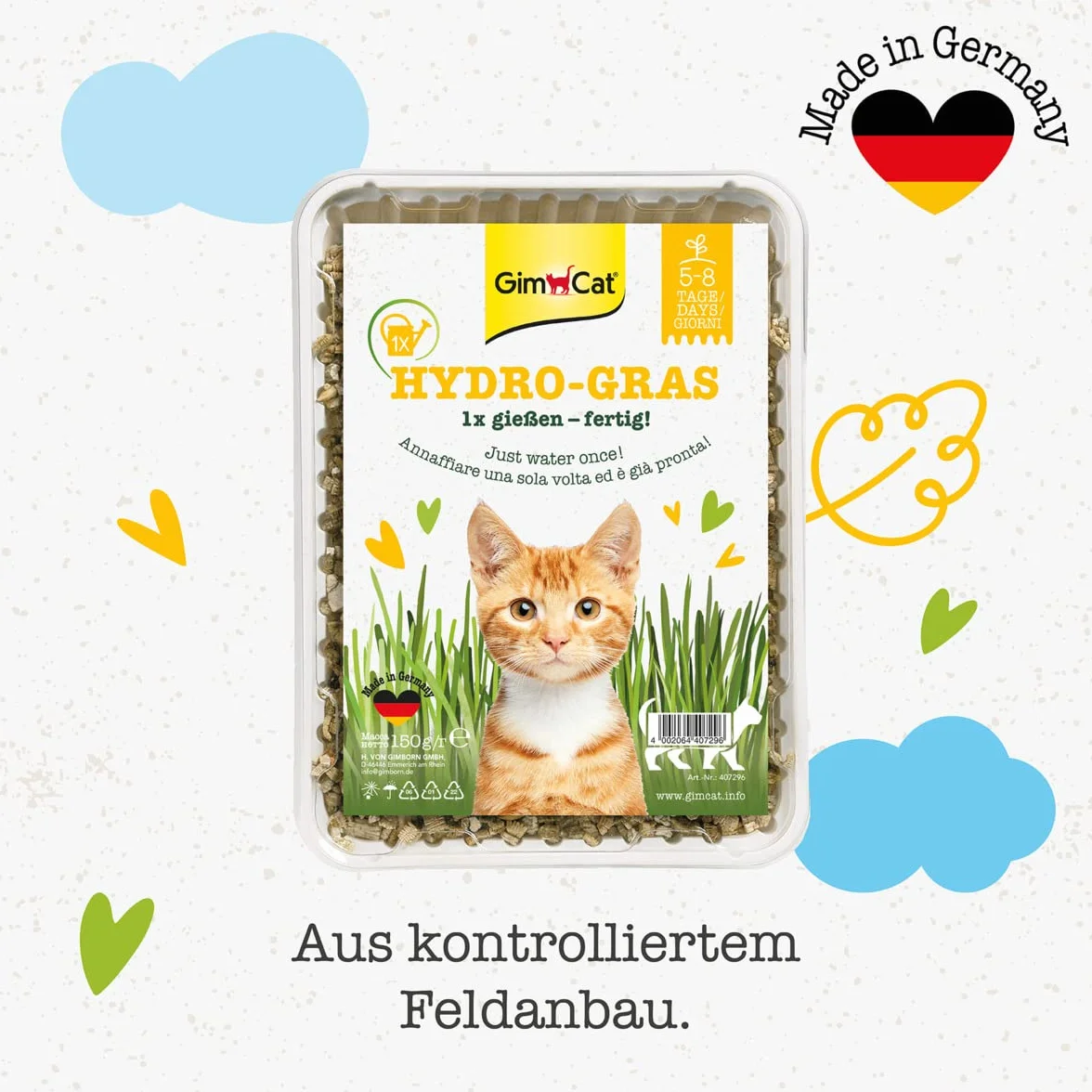 GimCat Hydro-Gras - Hierba fresca para gatos, de plantación controlada, en tan solo de 5 a 8 días - 1 bandeja (1 x 150 g)