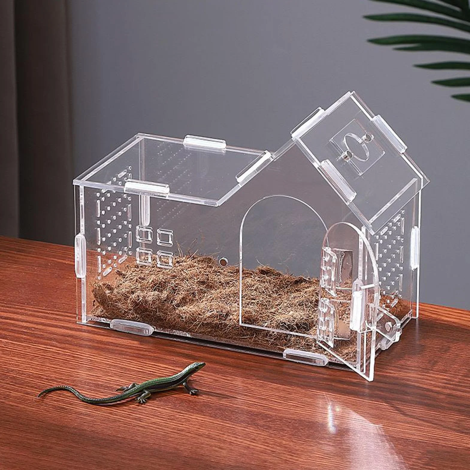 Recinto Spider - Terrario Acrílico con Puerta Magnética Y Ventilación | Casa de araña saltarina para Geckos, Ranas, lagartos, tarántulas y Mascotas arbóreas