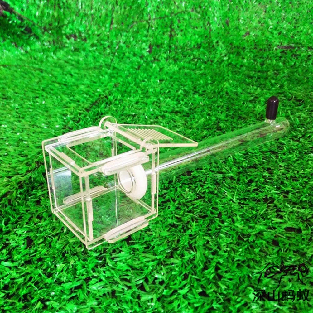 NOWON Ant Nest Tubo de Vidrio Mini Hormiguero con Active Zone Insect House Acrílico Ant Farm