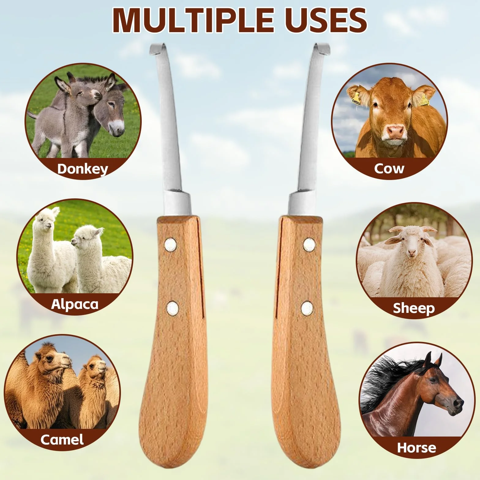 2 piezas Cuchillo para Pezuñas, 21.5 CM Cuidado de Los Cascos Acero Inoxidable Zurdos y Diestros, Herramientas para Recortar Pezuñas con Mango de Madera para Ganado Vacuno, Ovino y Equino