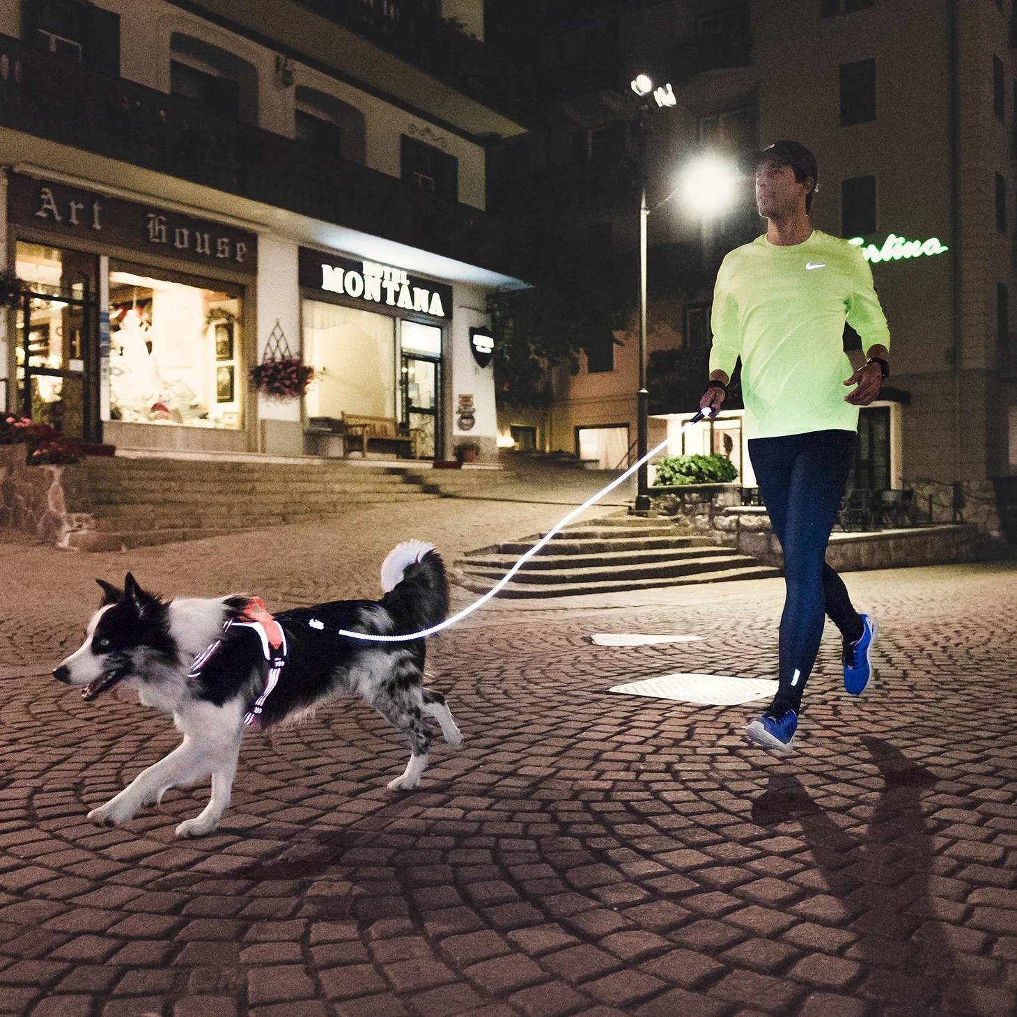 Hurtta Dazzle - Correa para Perro