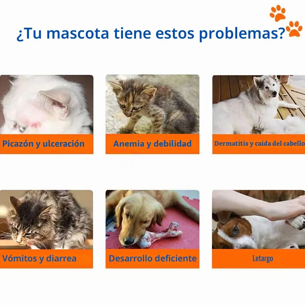 100 Cápsulas Desparasitante Herbal Natural para Perros y Gatos para el Tratamiento de parásitos internos