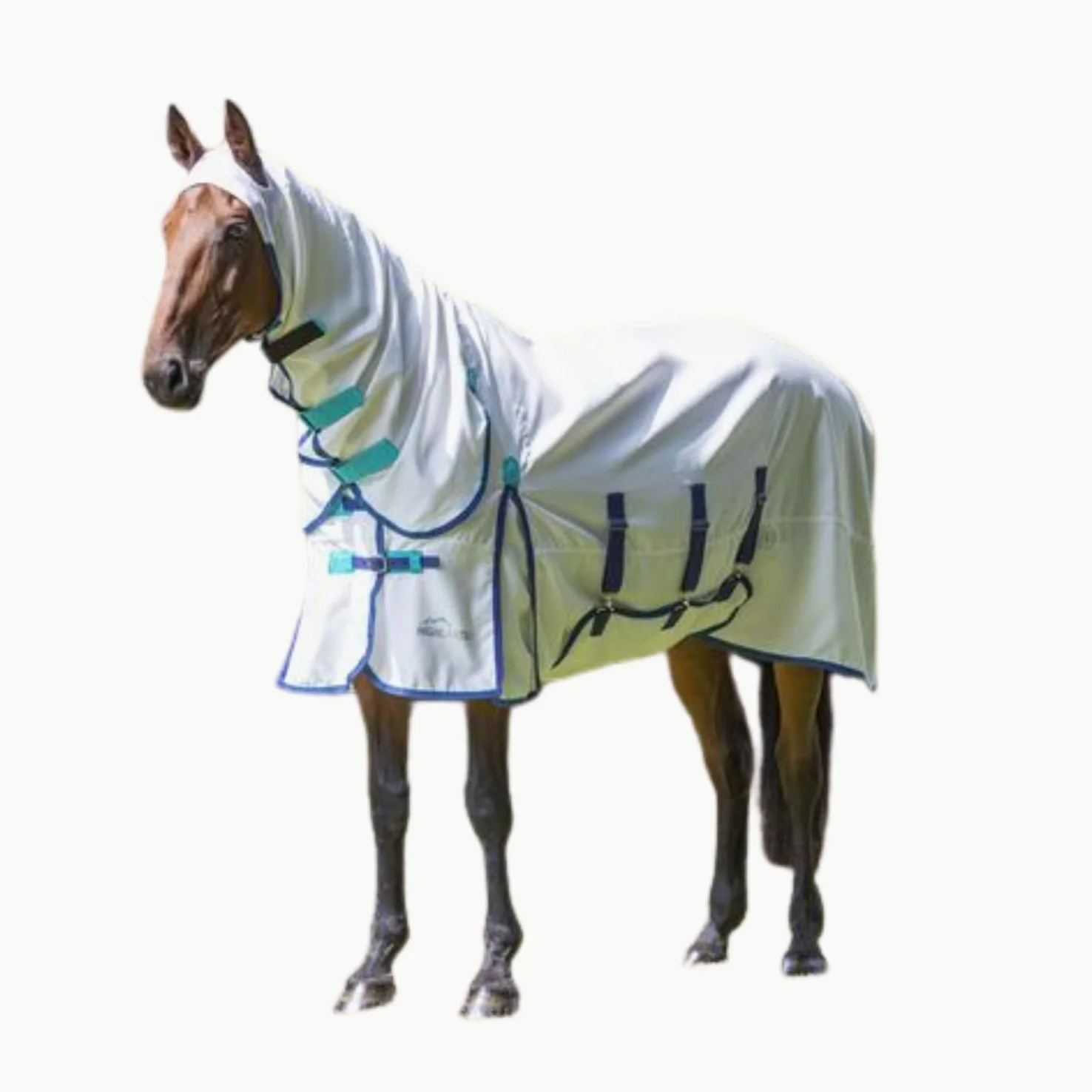 Shires - Manta protectora para caballos Talla:5'0"