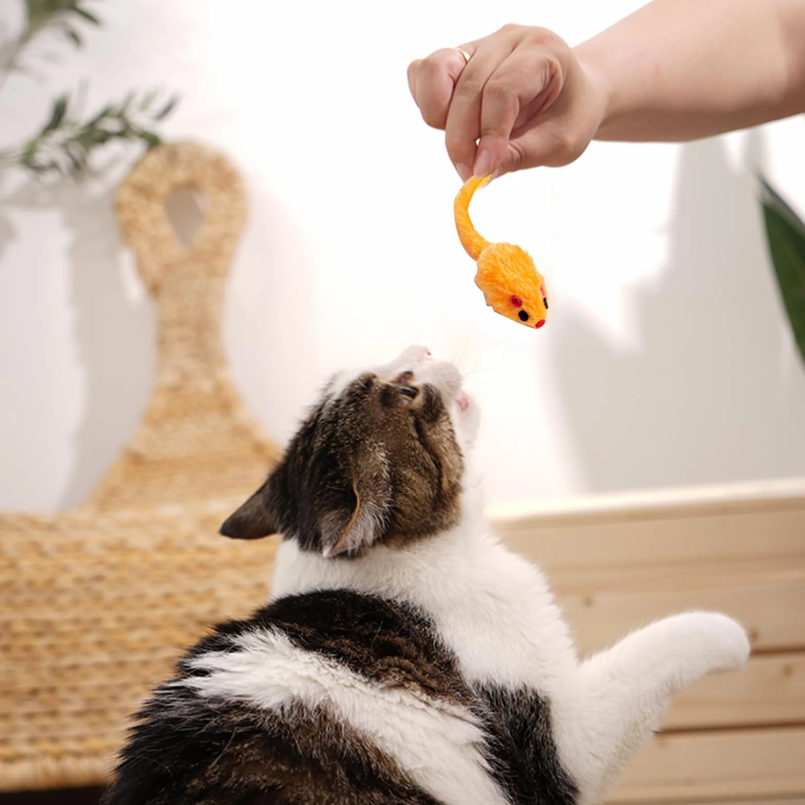 12 Piezas Ratones de Juguete,Color Aleatorio Peluche Ratones Juguetes, Ratón Gato para Gatitos, Interactivo de Hierba Gatera, para Gatito de Interior Jugando y Masticando