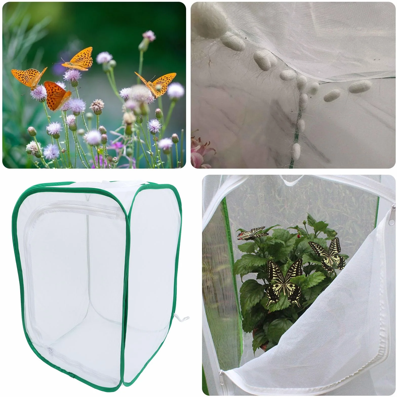 Jaula Plegable para Mariposas 40x40x60 Cm Malla Transpirable para Incubadora de Plantas y Hábitat Insectos, Caja Protectora para Mascotas y Cultivo de Plántulas