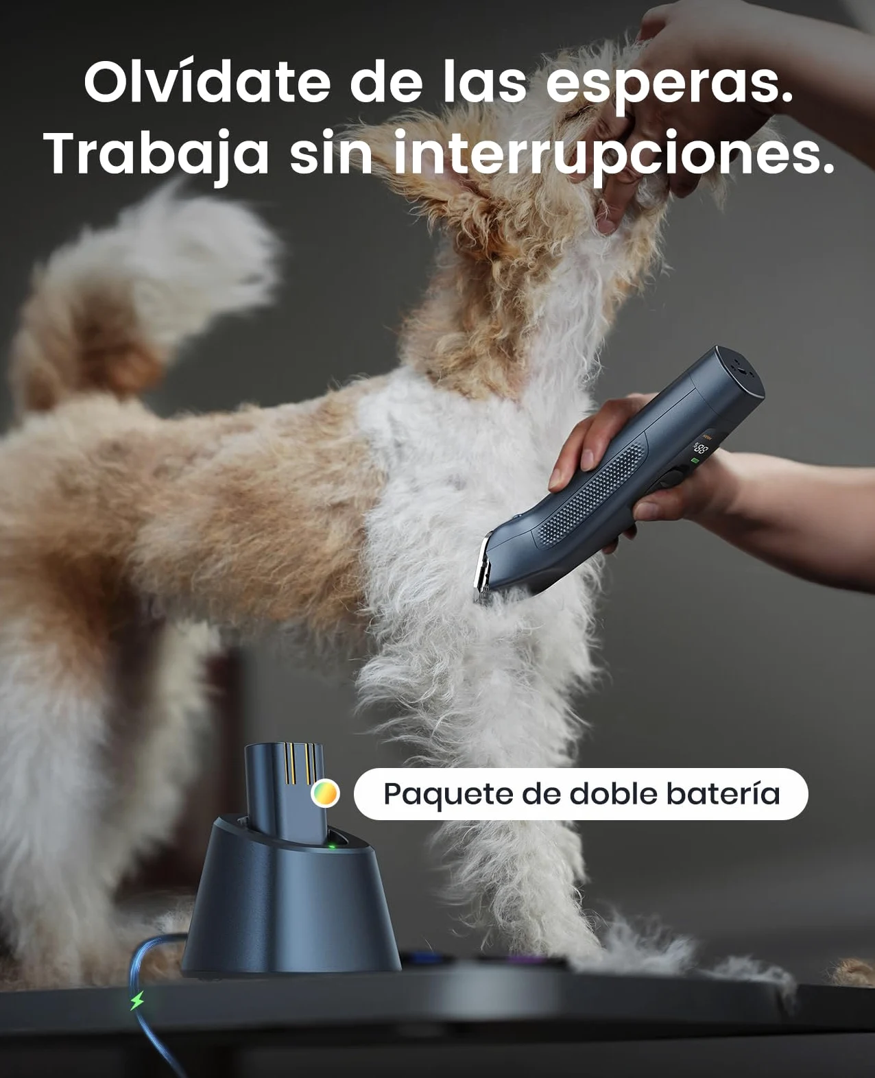 oneisall Cortacésped profesional para perros 2*Batería, recortadora de perros y gatos, 2 velocidades silenciosas para mascotas de pelo grueso, largas, rizado(Azul, 2*Batería)