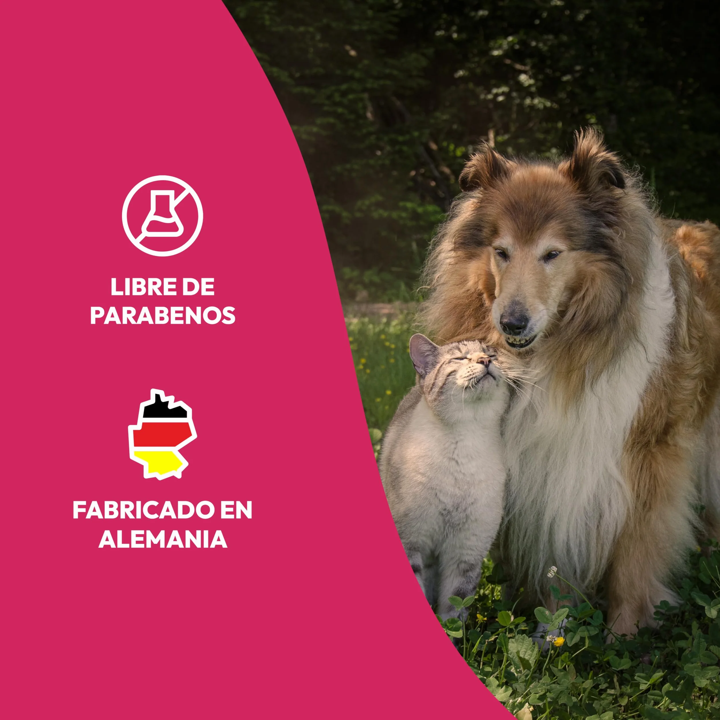 Petsly® Spray Antipulgas para Perros y Gatos -500ml- No Mancha - Antiparasitario Perros con Geraniol - Tratamiento Anti Pulgas, Garrapatas y Ácaros para el Hogar, Muebles y Textiles - Antipulgas Gatos