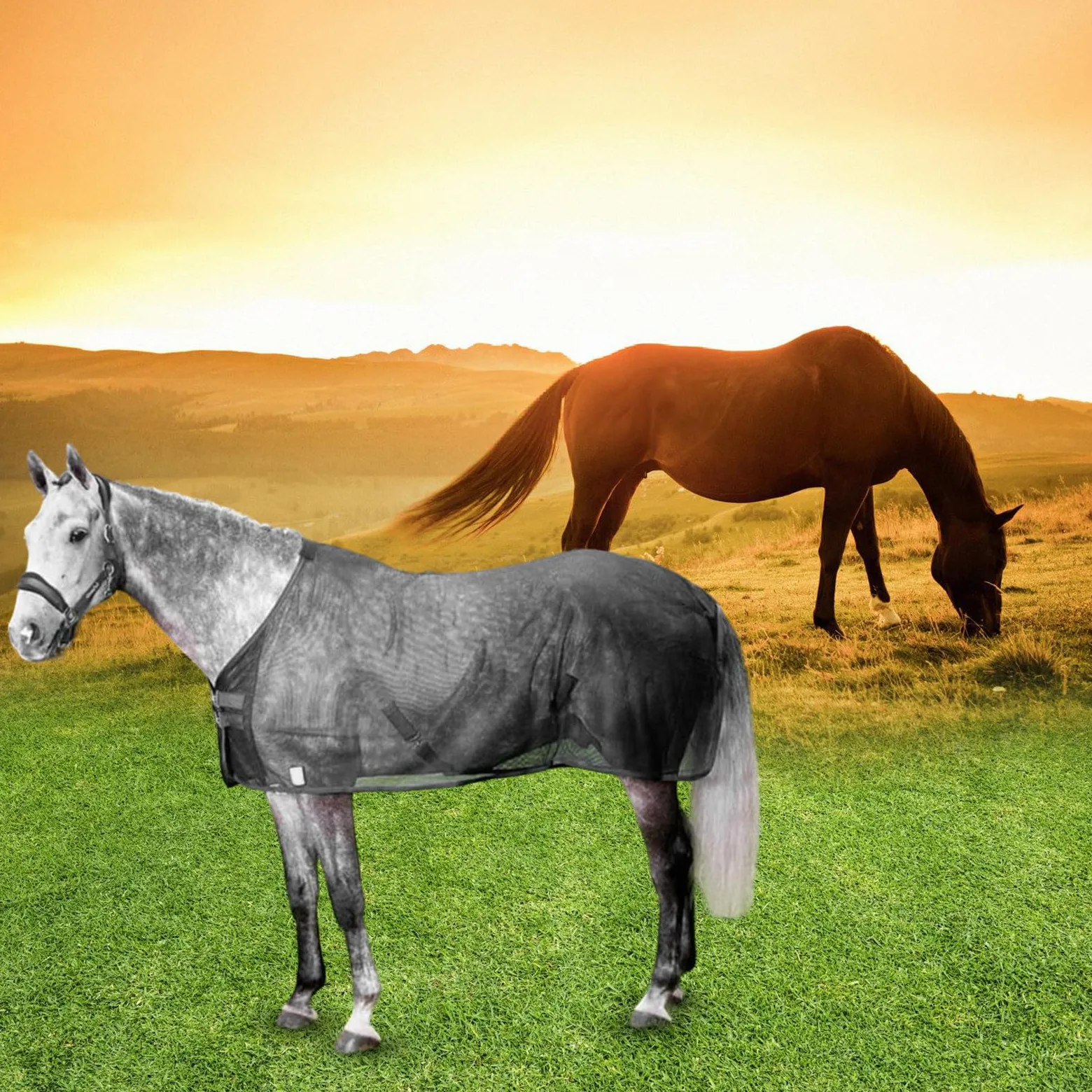 Fundas protectoras para el vientre de caballo, cubierta protectora para caballo, cubierta protectora para el abdomen de caballo, cubierta protectora para el abdomen de caballo