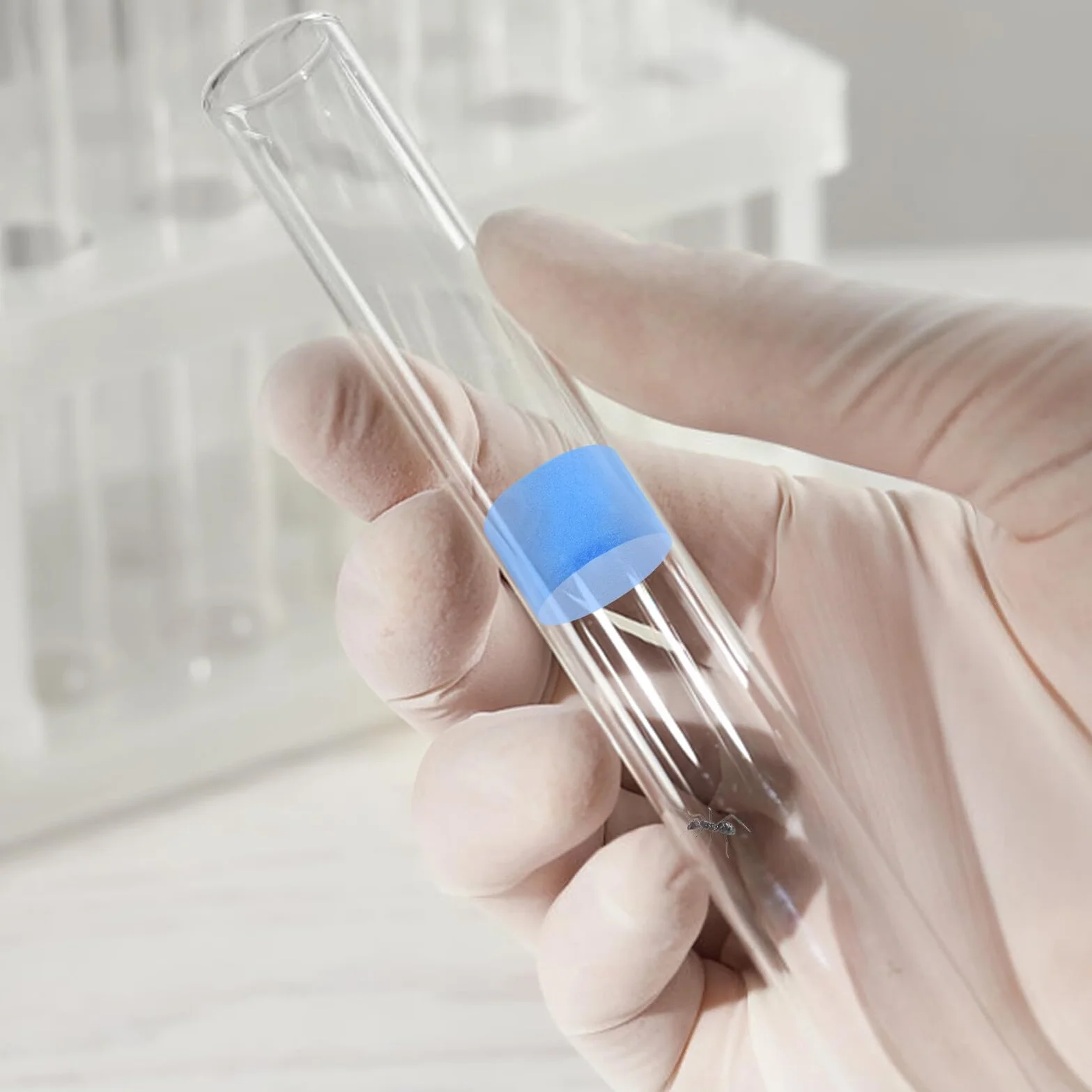 5 Esponjas de Espuma Azules para Tubos de Laboratorio, Suministros para Nidos de Insectos Ambiente Cómodo y Fácil de Usar en Aprendizaje Naturaleza