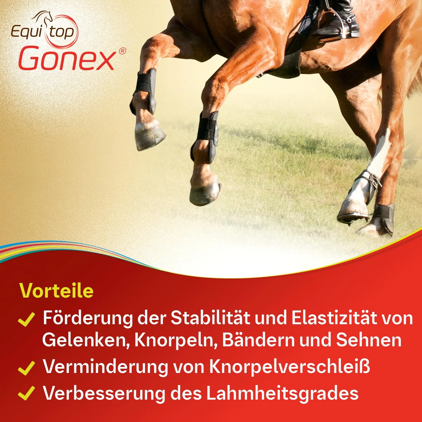EQUITOP Gonex Granulat Vet.