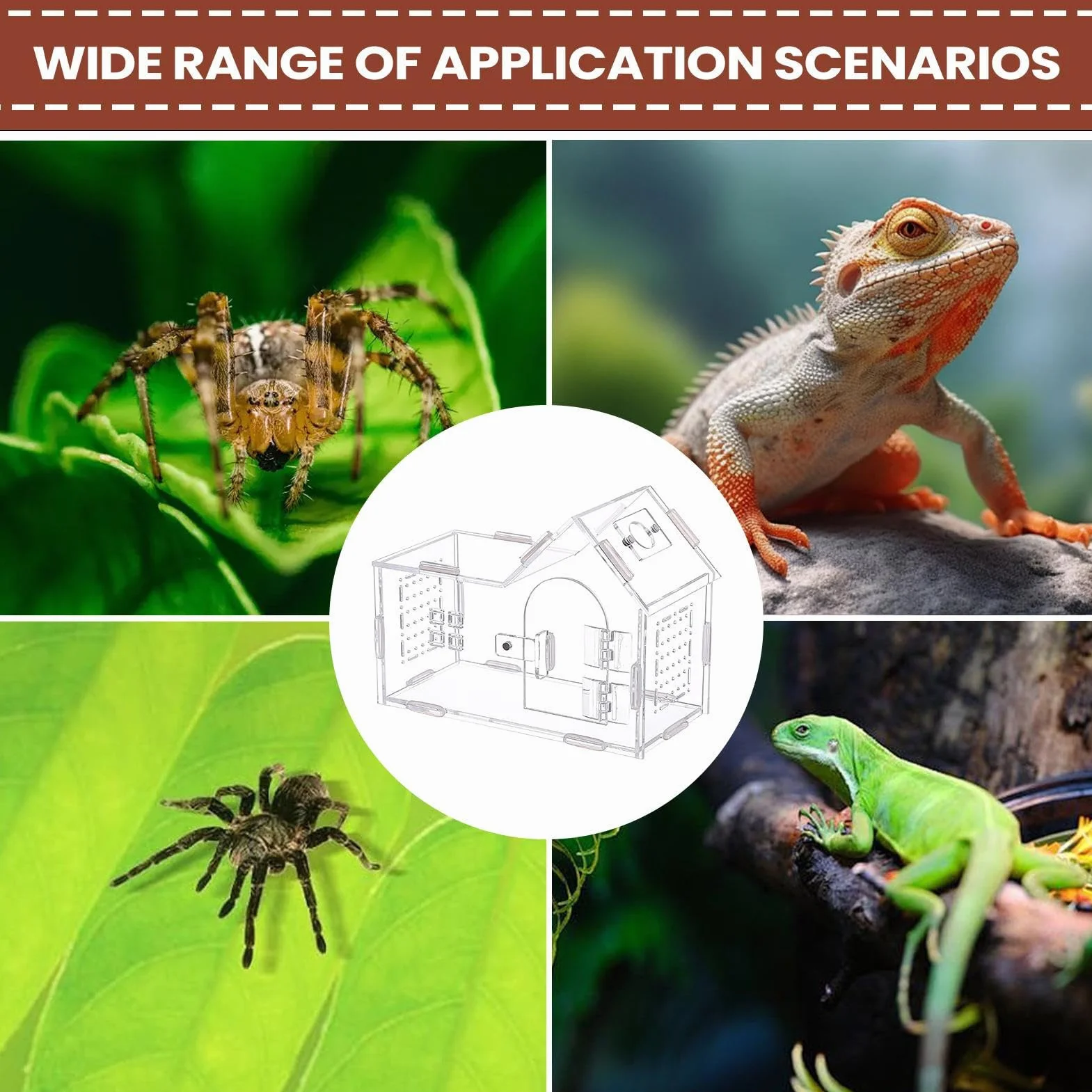 Recinto Spider - Terrario Acrílico con Puerta Magnética Y Ventilación | Casa de araña saltarina para Geckos, Ranas, lagartos, tarántulas y Mascotas arbóreas