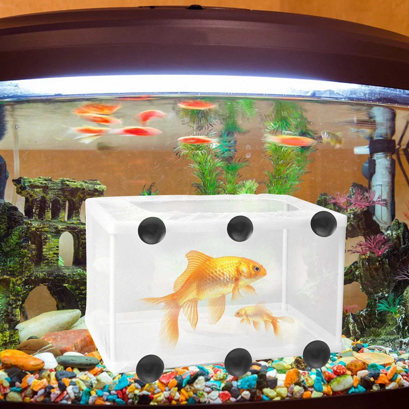 Acuario Criador de Peces, Incubadora de Criaderos, Tanque de Aislamiento Con Ventosas Para Peces Jóvenes, 26,2 * 15 * 15cm